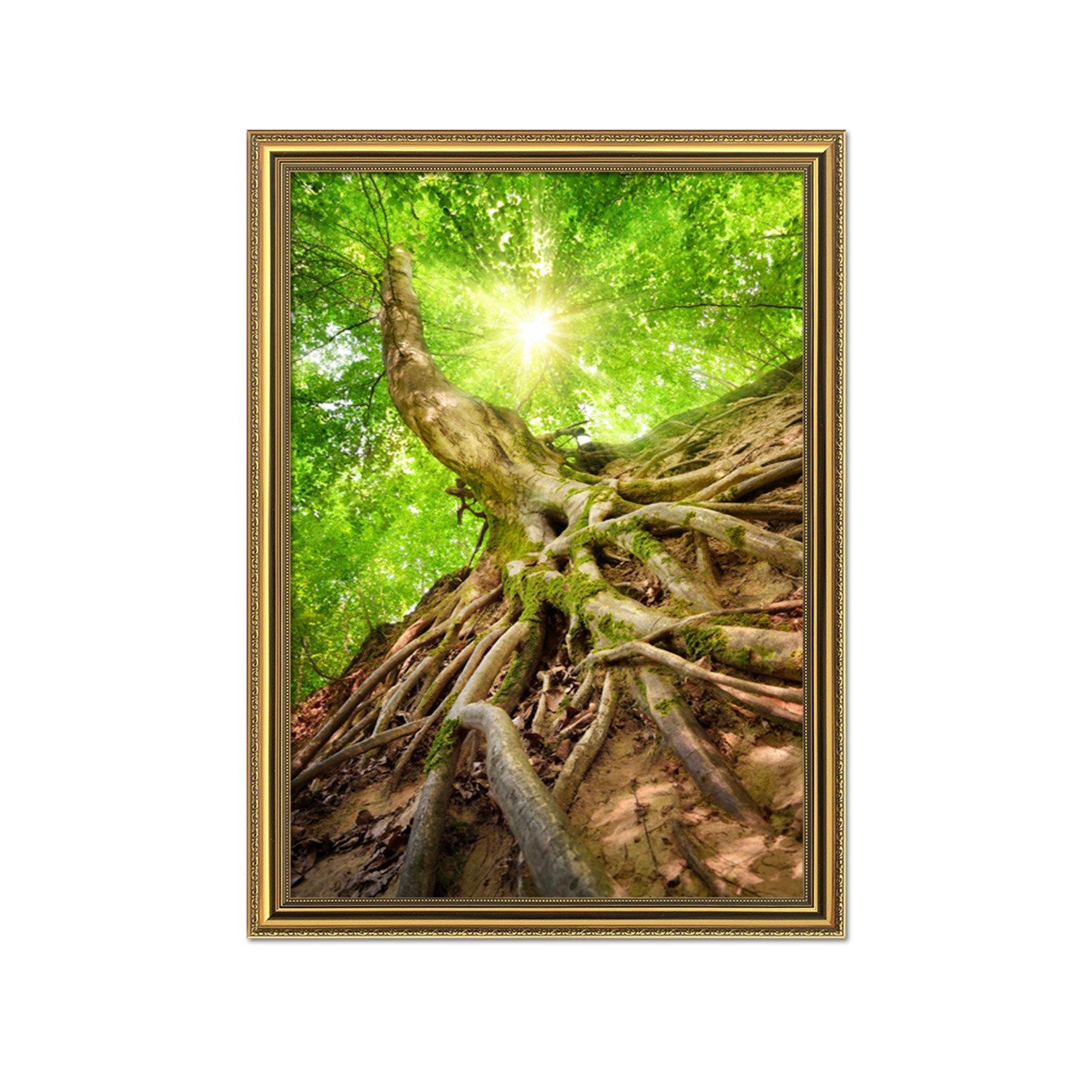 3D Trunk Land 080 Fake Framed Print Painting Wallpaper AJ Creativity Home
