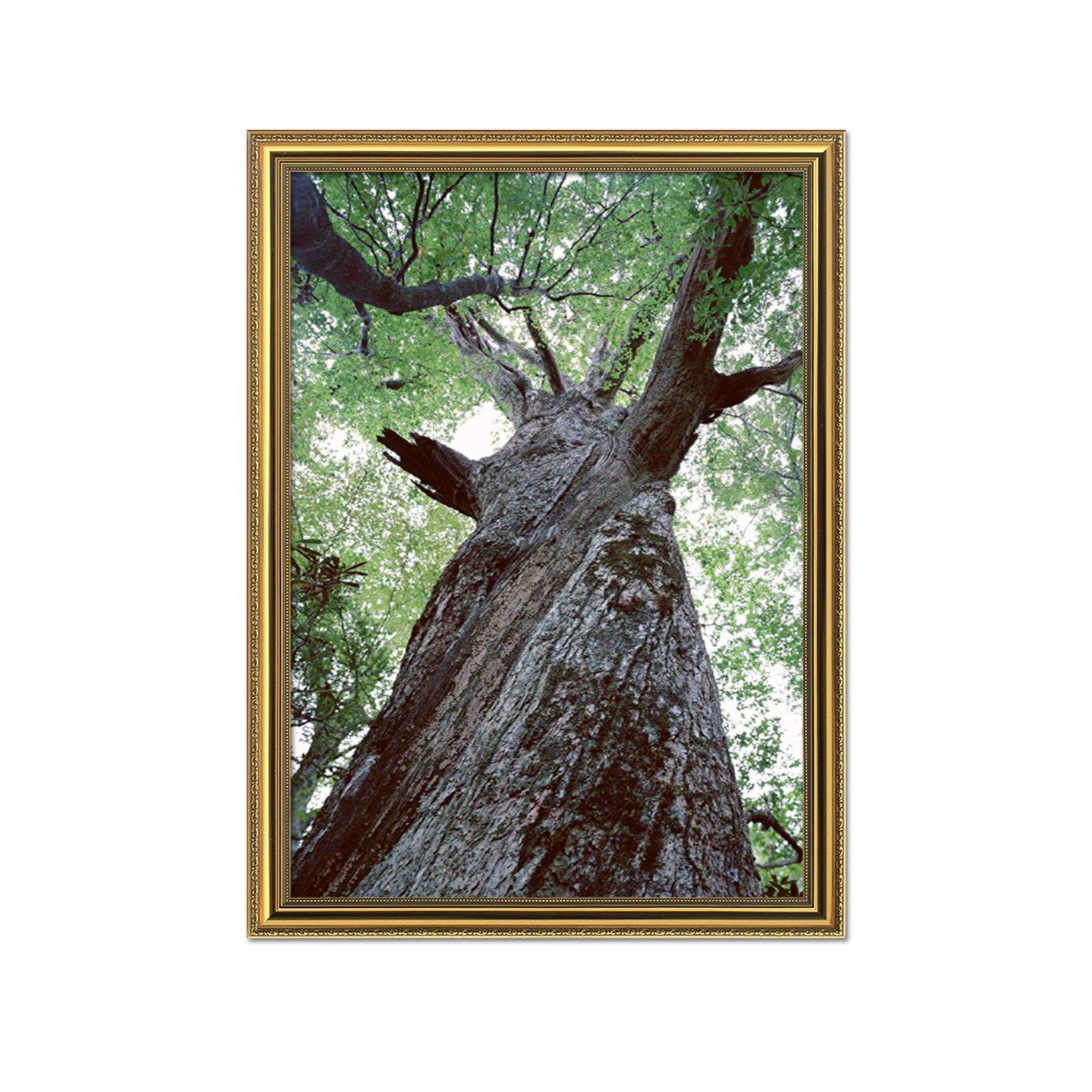 3D Thick Tree 113 Fake Framed Print Painting Wallpaper AJ Creativity Home