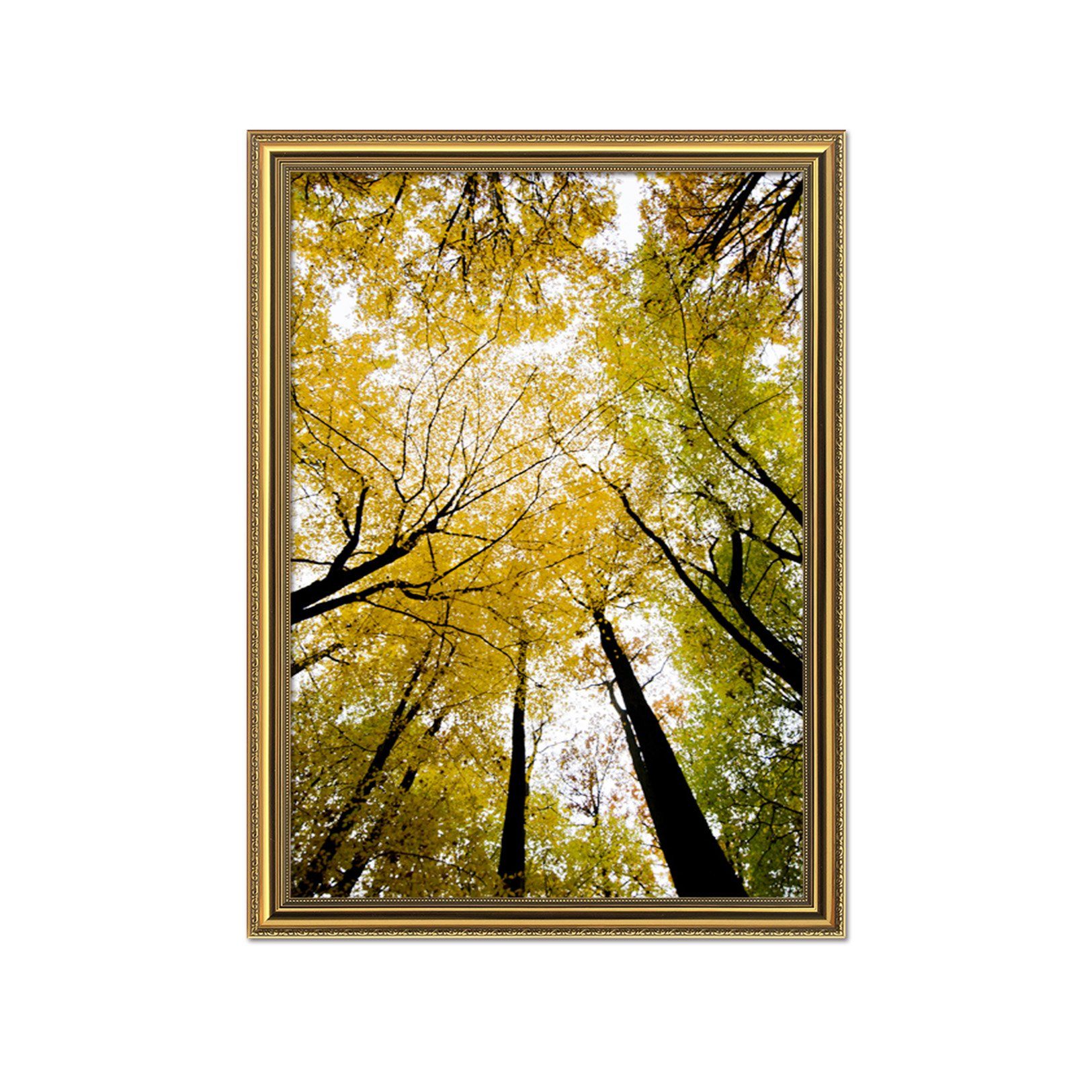 3D Sunny Tree 006 Fake Framed Print Painting Wallpaper AJ Creativity Home