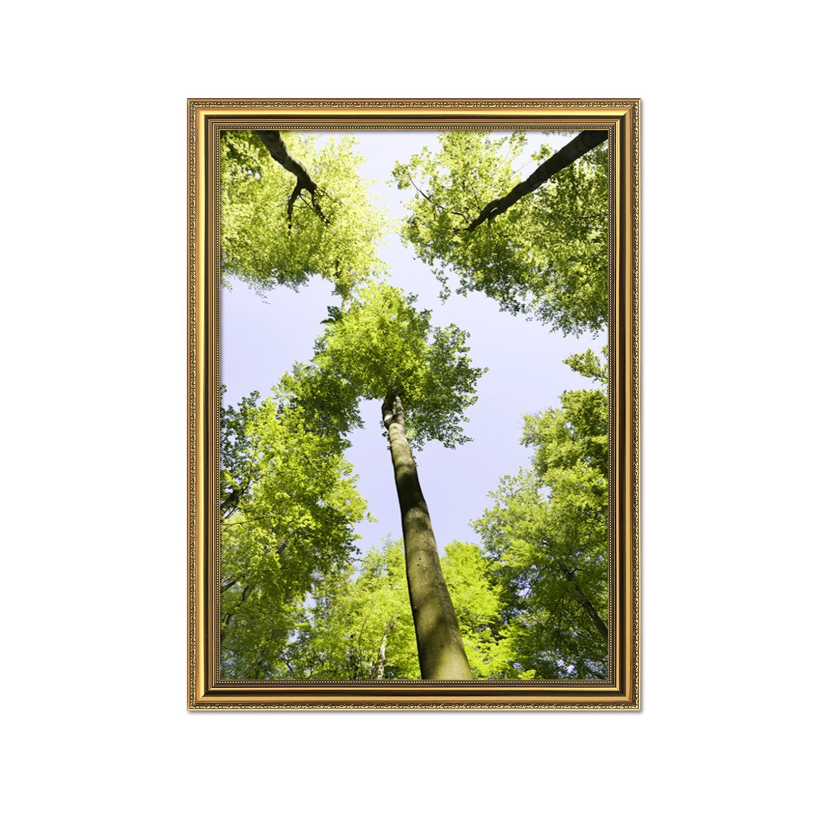 3D Big Tree 017 Fake Framed Print Painting Wallpaper AJ Creativity Home