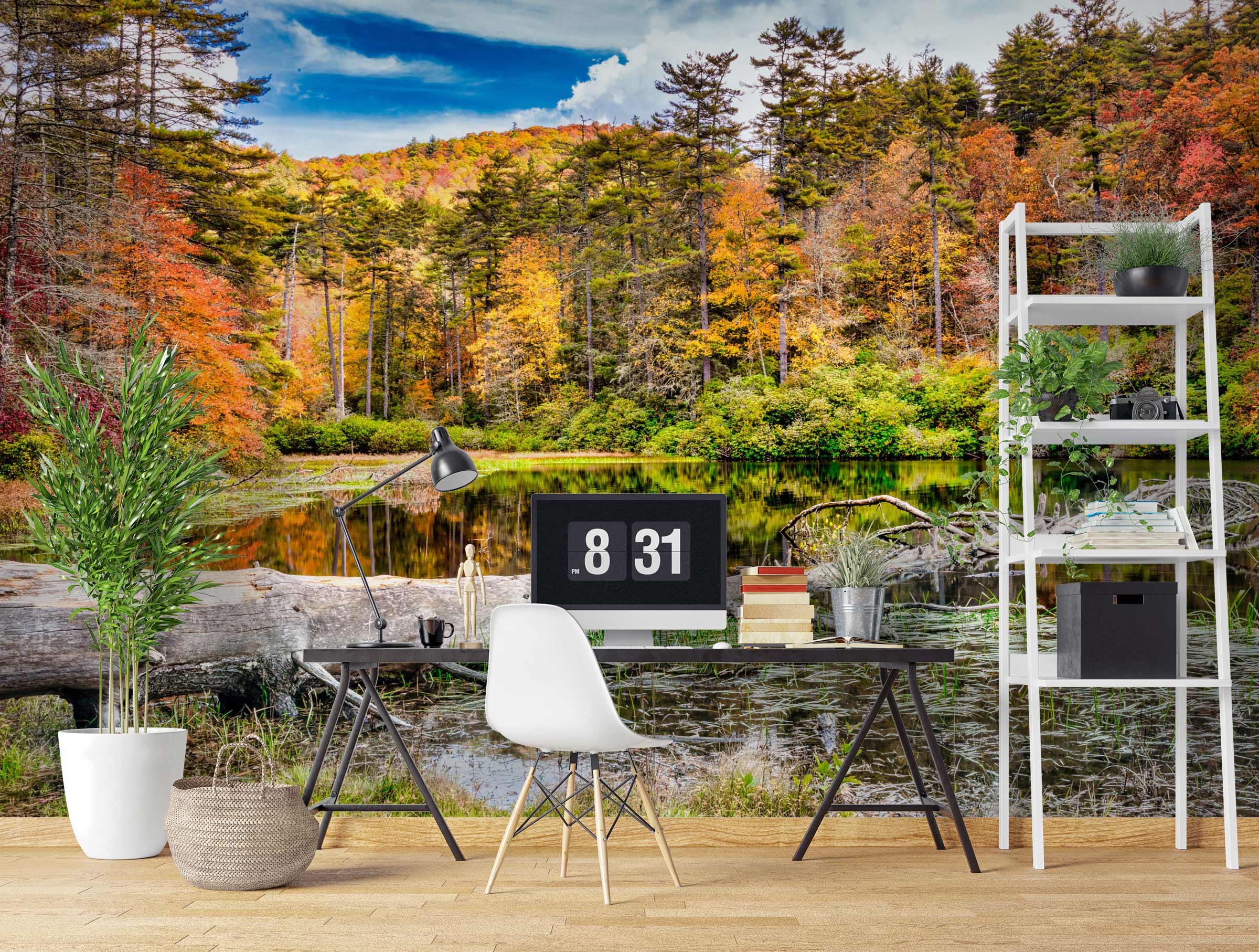 3D Lake Trees 5246 Beth Sheridan Wall Mural Wall Murals