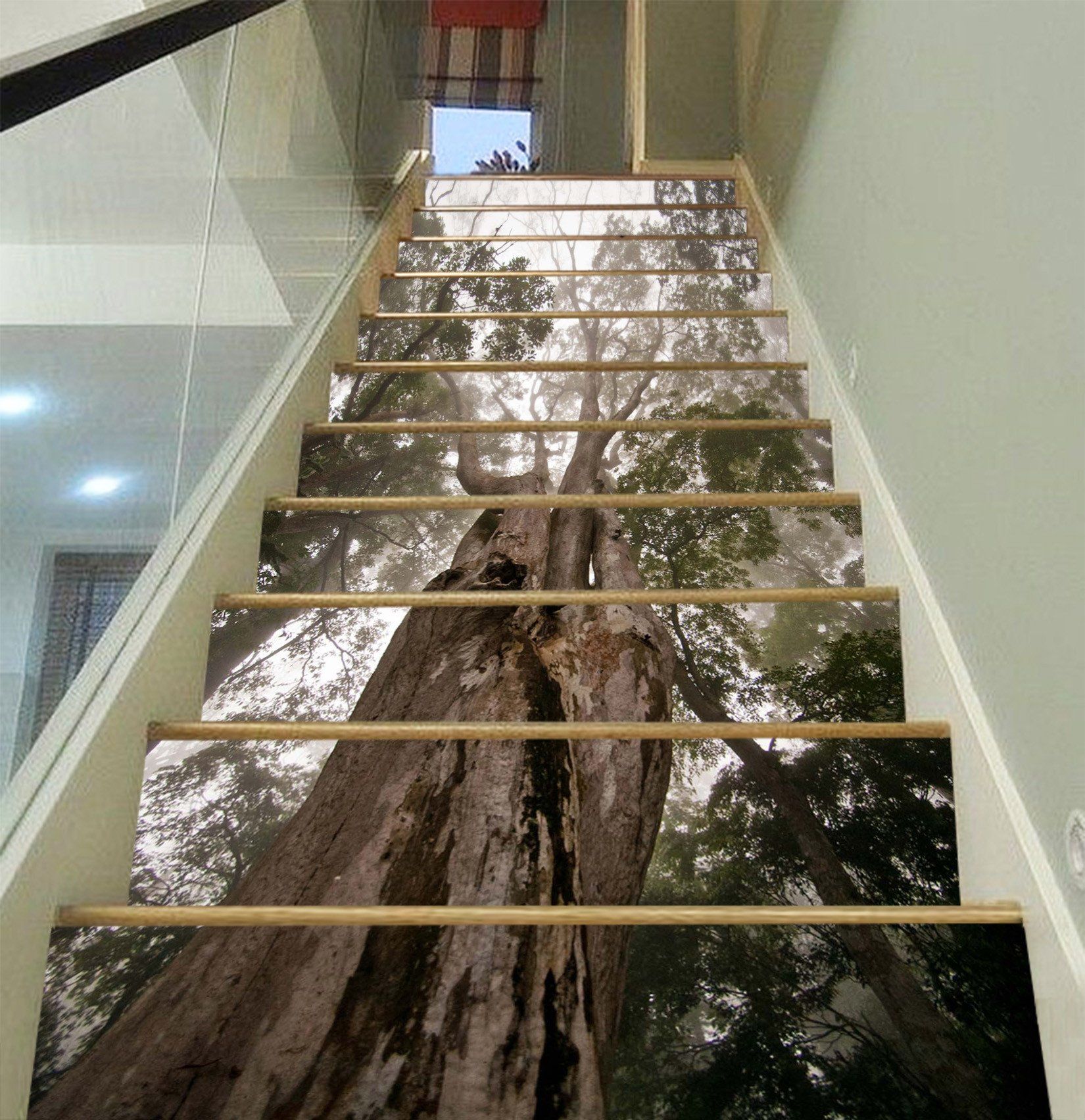 3D Misty Forest Big Trees 1607 Stair Risers Wallpaper AJ Wallpaper