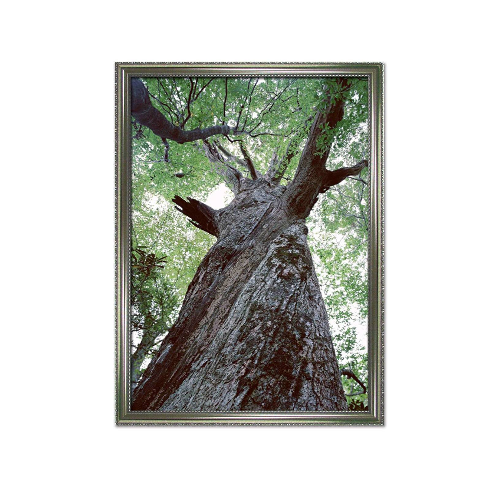 3D Thick Tree 113 Fake Framed Print Painting Wallpaper AJ Creativity Home