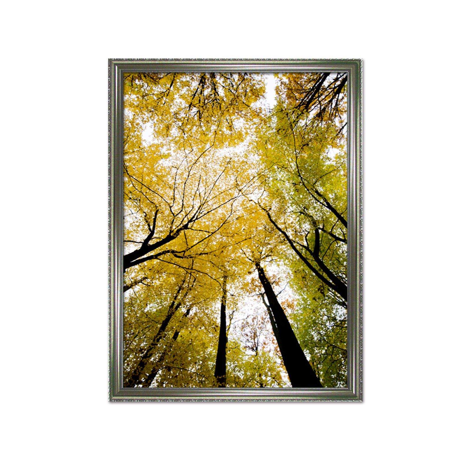 3D Sunny Tree 006 Fake Framed Print Painting Wallpaper AJ Creativity Home