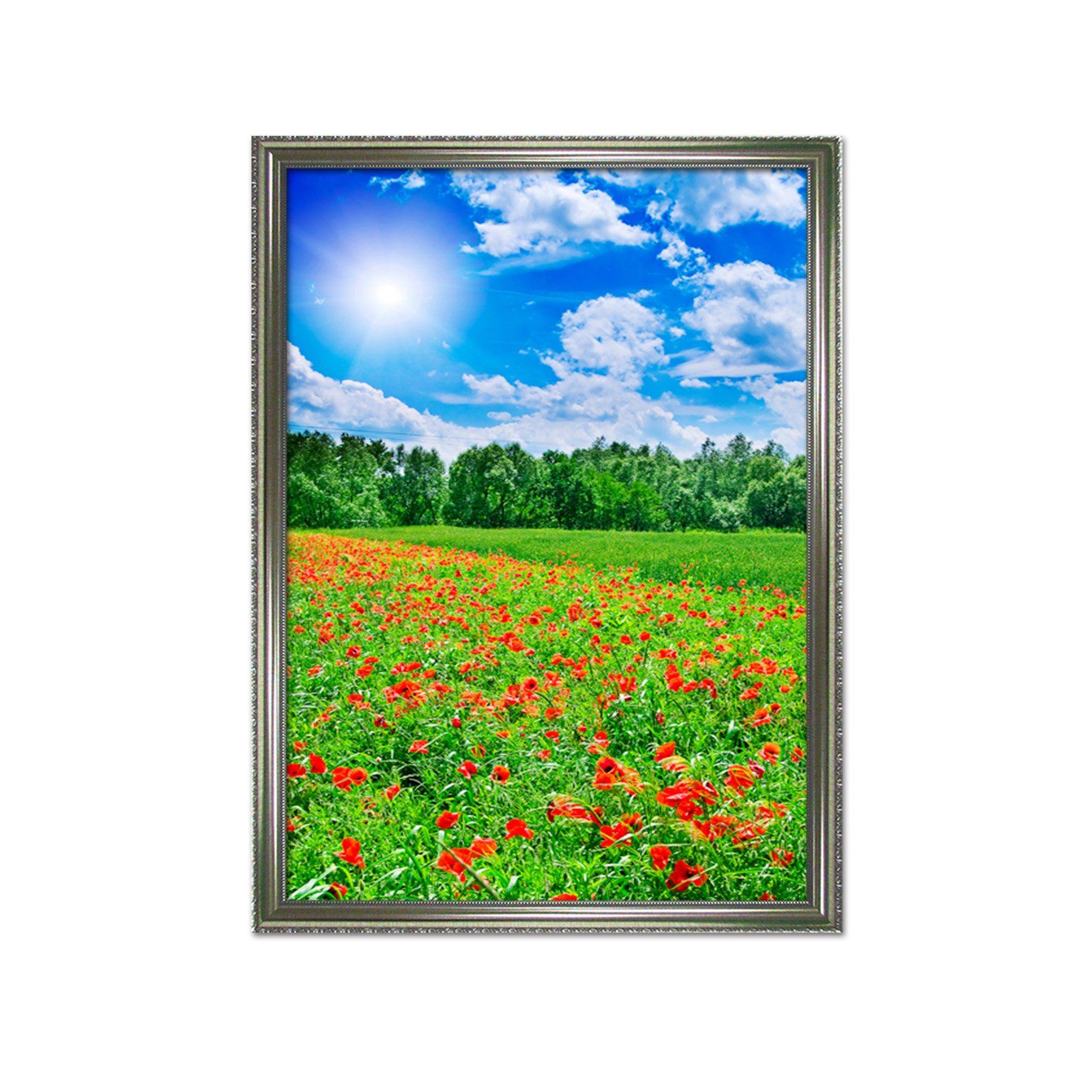 3D Meadow Flowers 045 Fake Framed Print Painting Wallpaper AJ Creativity Home