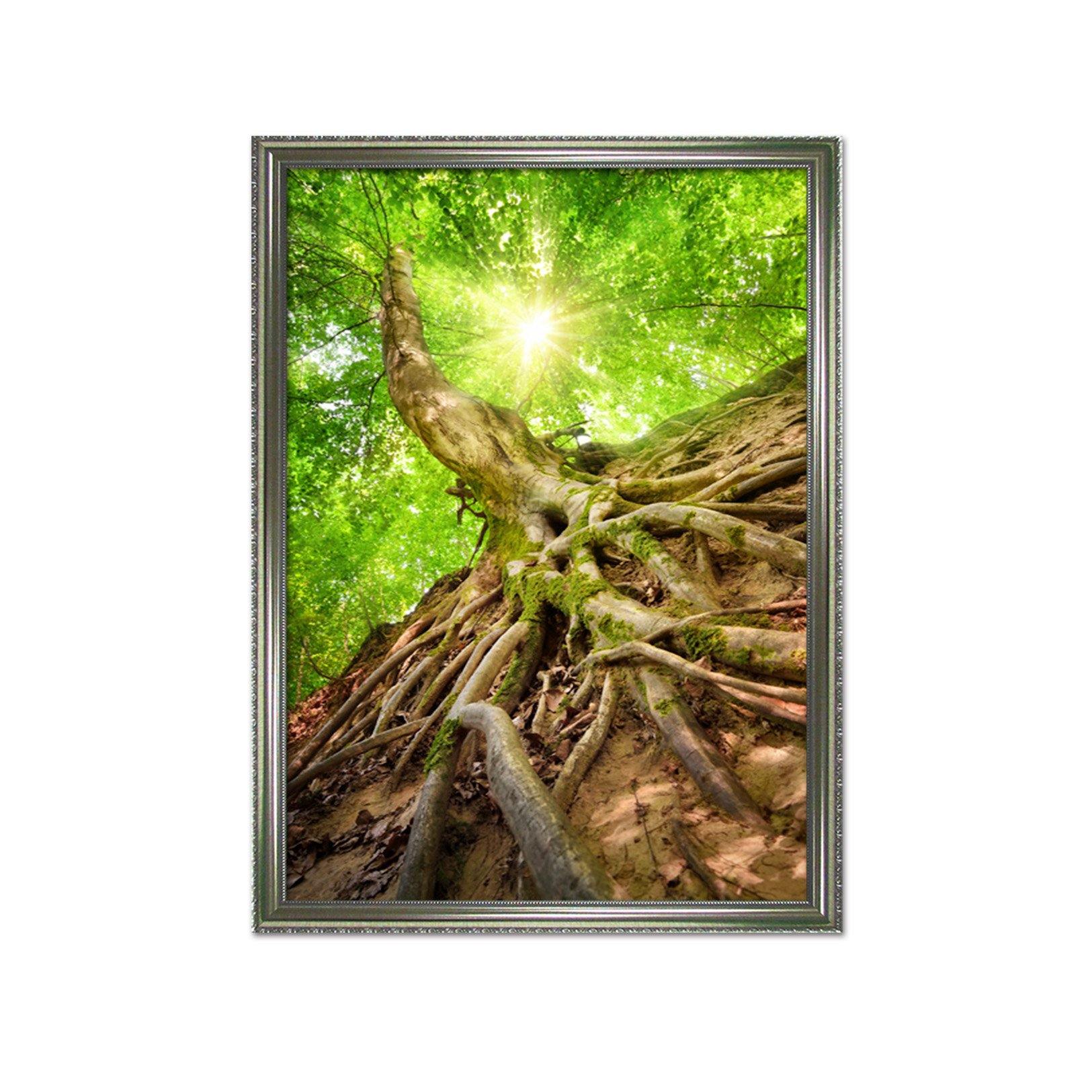3D Trunk Land 080 Fake Framed Print Painting Wallpaper AJ Creativity Home
