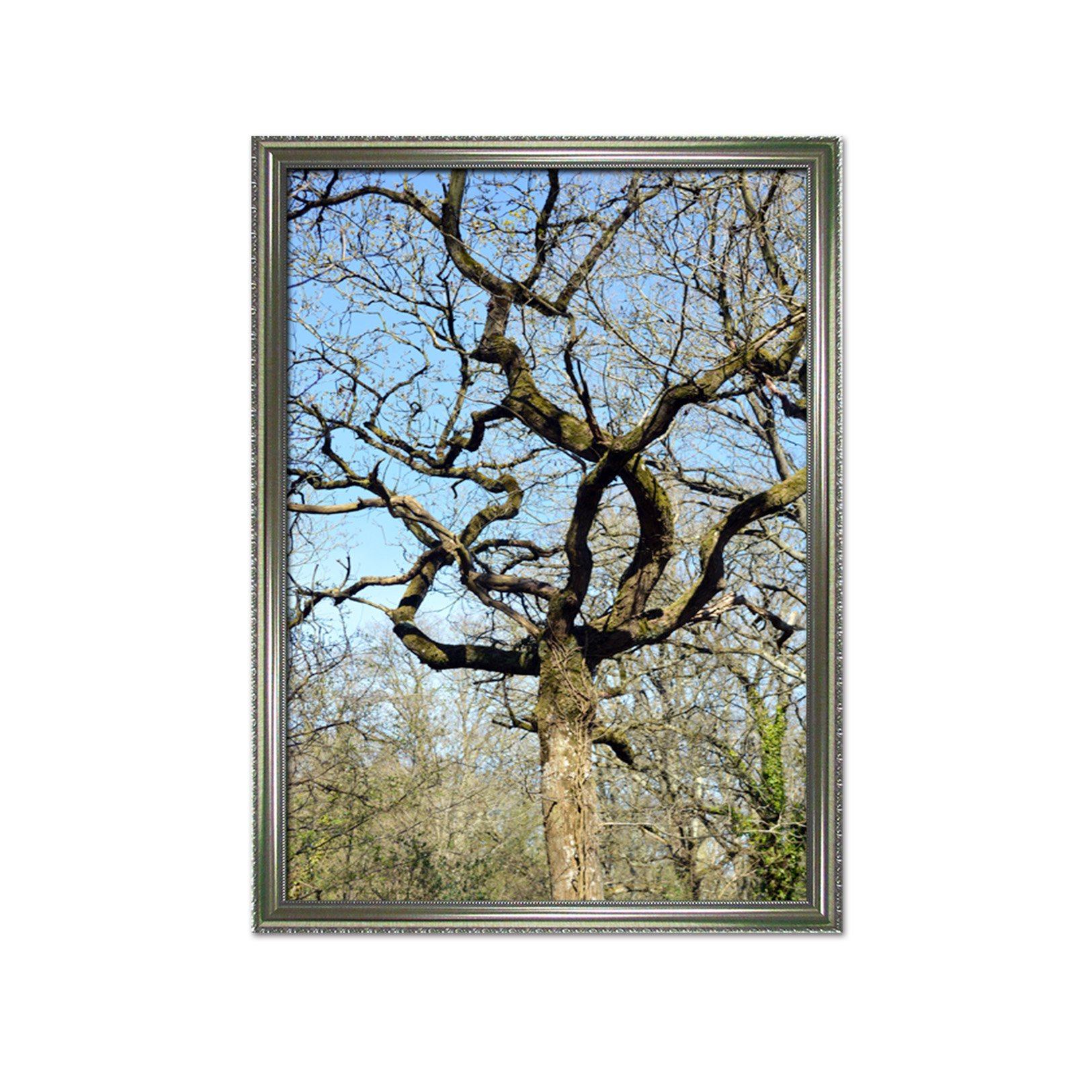 3D Tree Bending 073 Fake Framed Print Painting Wallpaper AJ Creativity Home