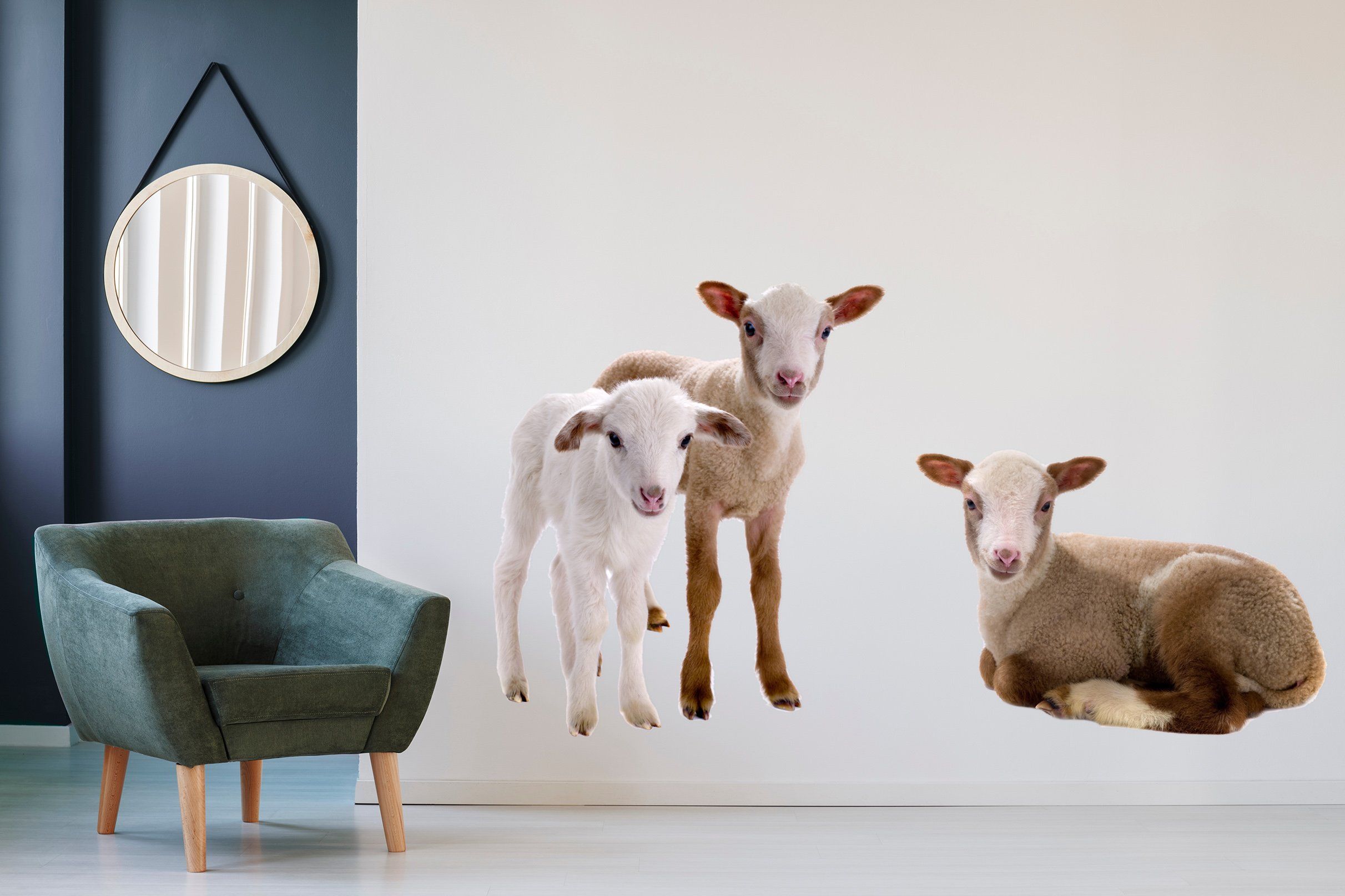 3D Sheep Baby 122 Animals Wall Stickers Wallpaper AJ Wallpaper
