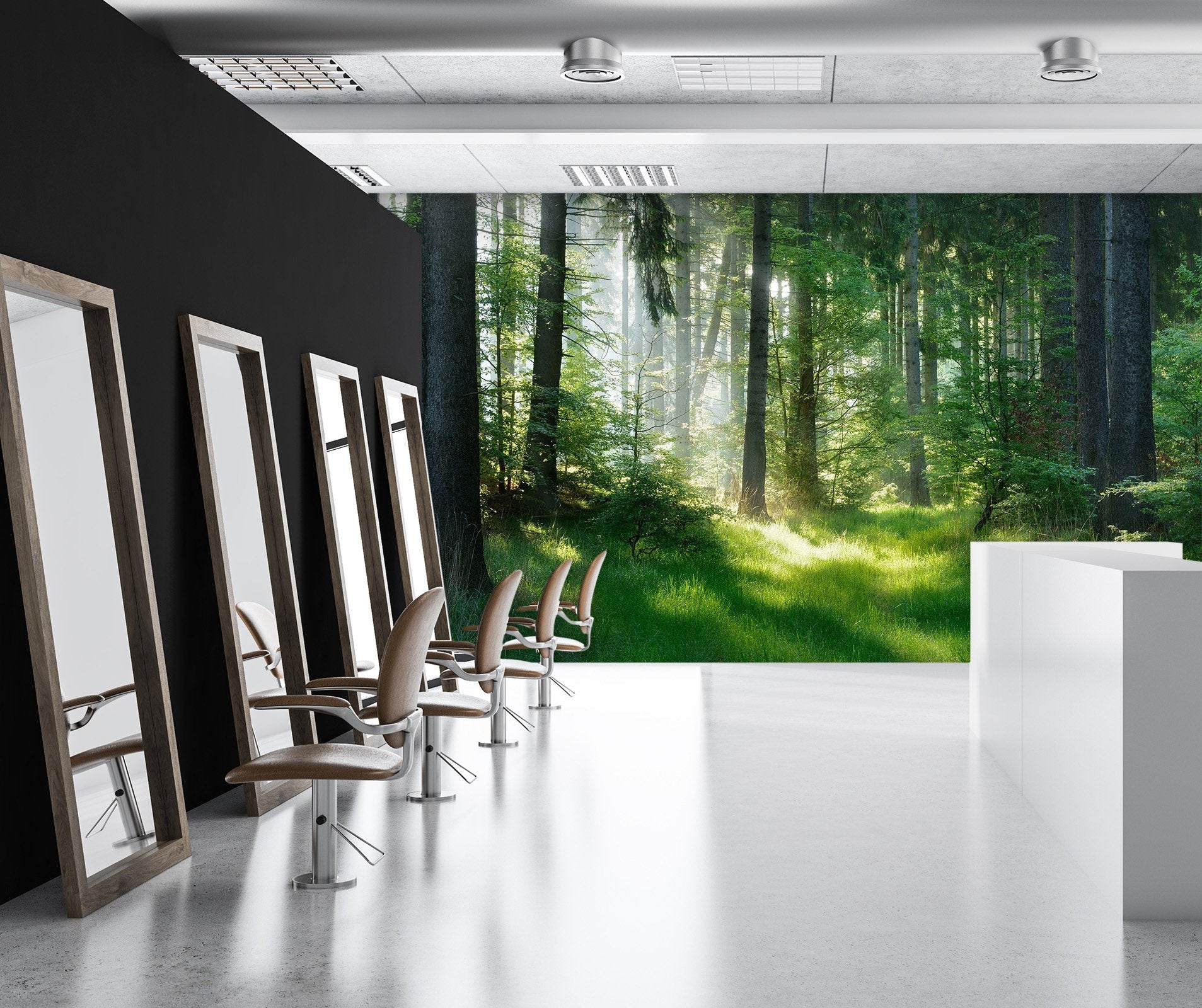 3D Forest Sun 71 Wall Murals Wallpaper AJ Wallpaper 2