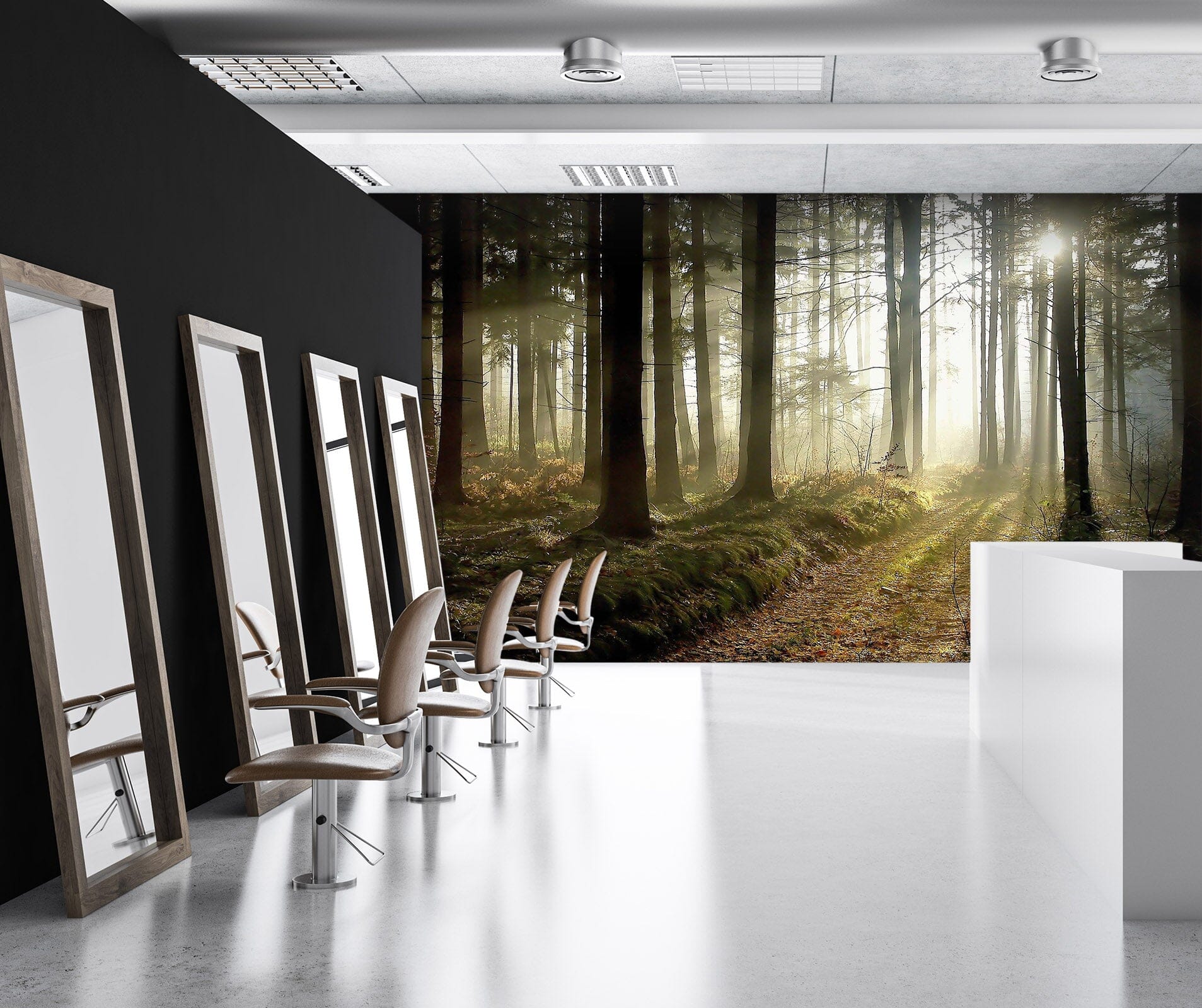 3D Woods Sunshine 376 Wall Murals Wallpaper AJ Wallpaper 2