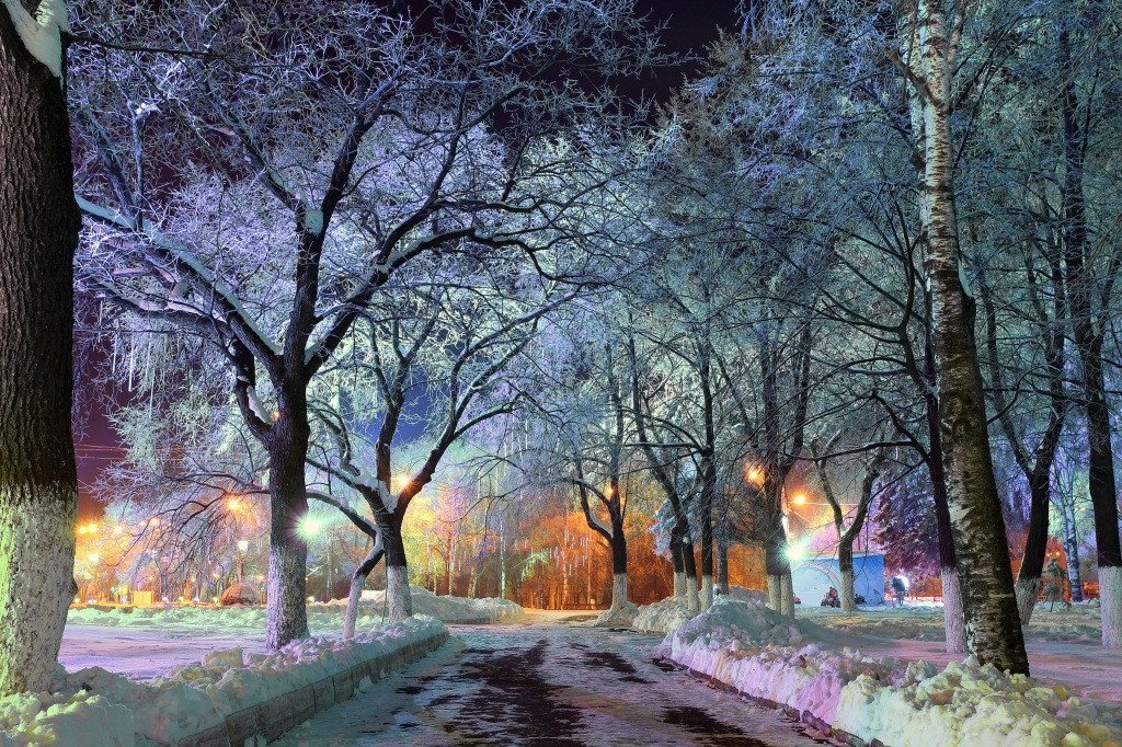 3D Snow Frozen Trees 137 Garage Door Mural Wallpaper AJ Wallpaper