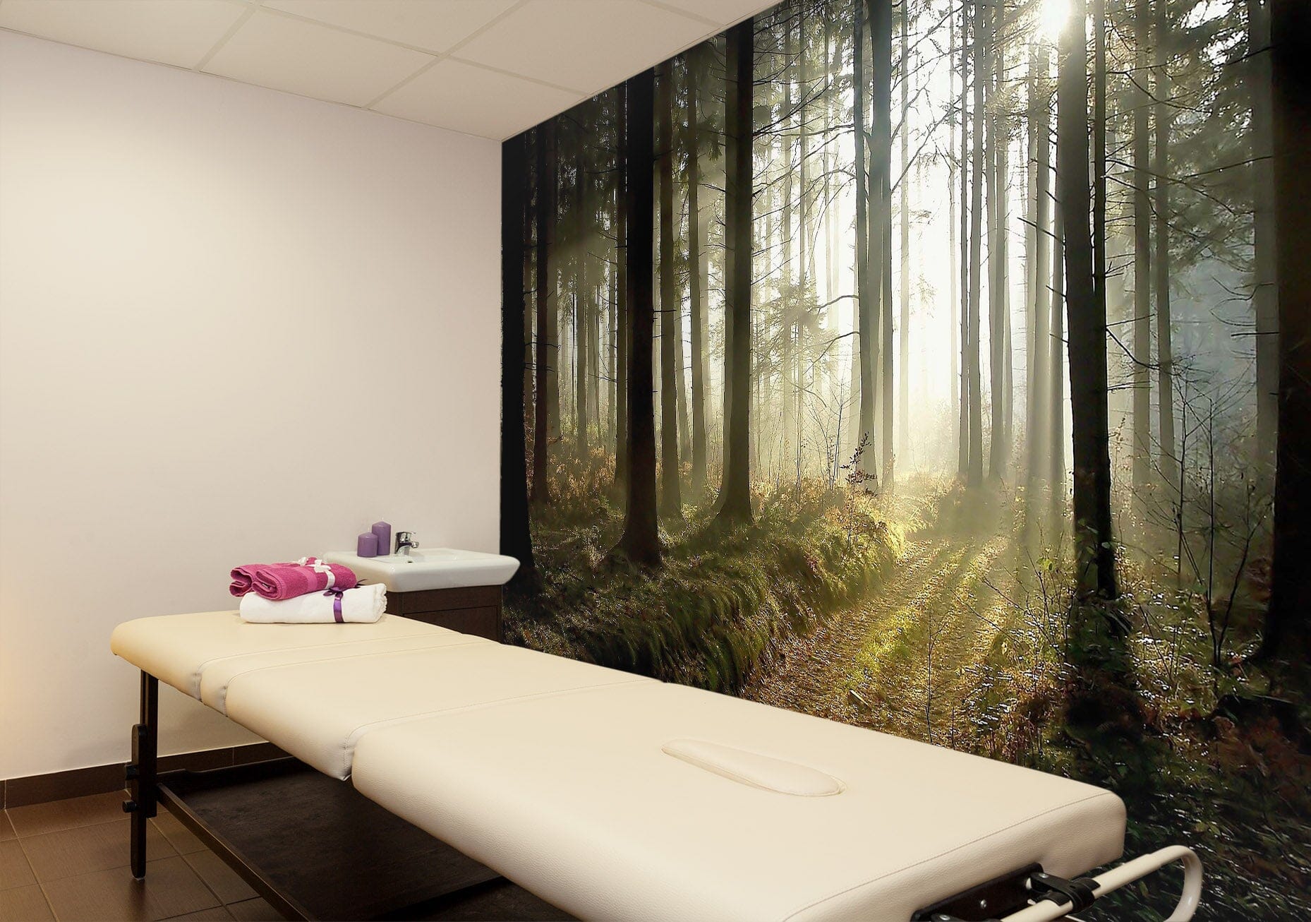 3D Woods Sunshine 376 Wall Murals Wallpaper AJ Wallpaper 2