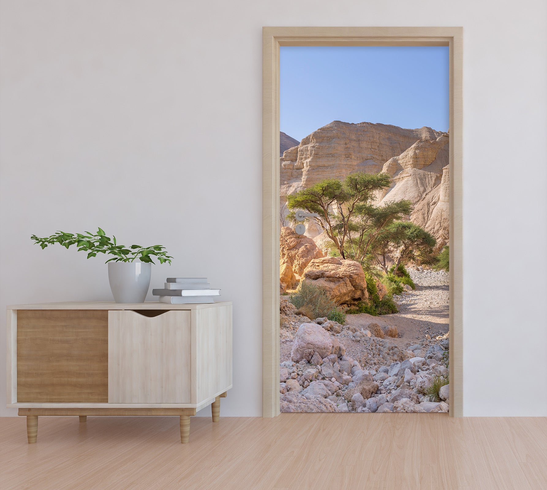 3D Rock Desert 10729 Assaf Frank Door Mural