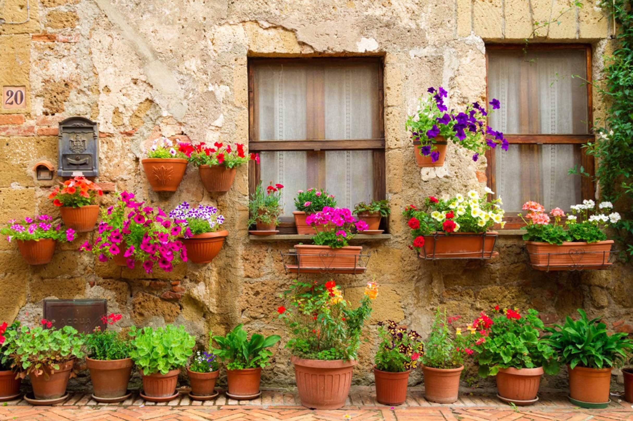 3D House Potted Flowers 428 Garage Door Mural Wallpaper AJ Wallpaper