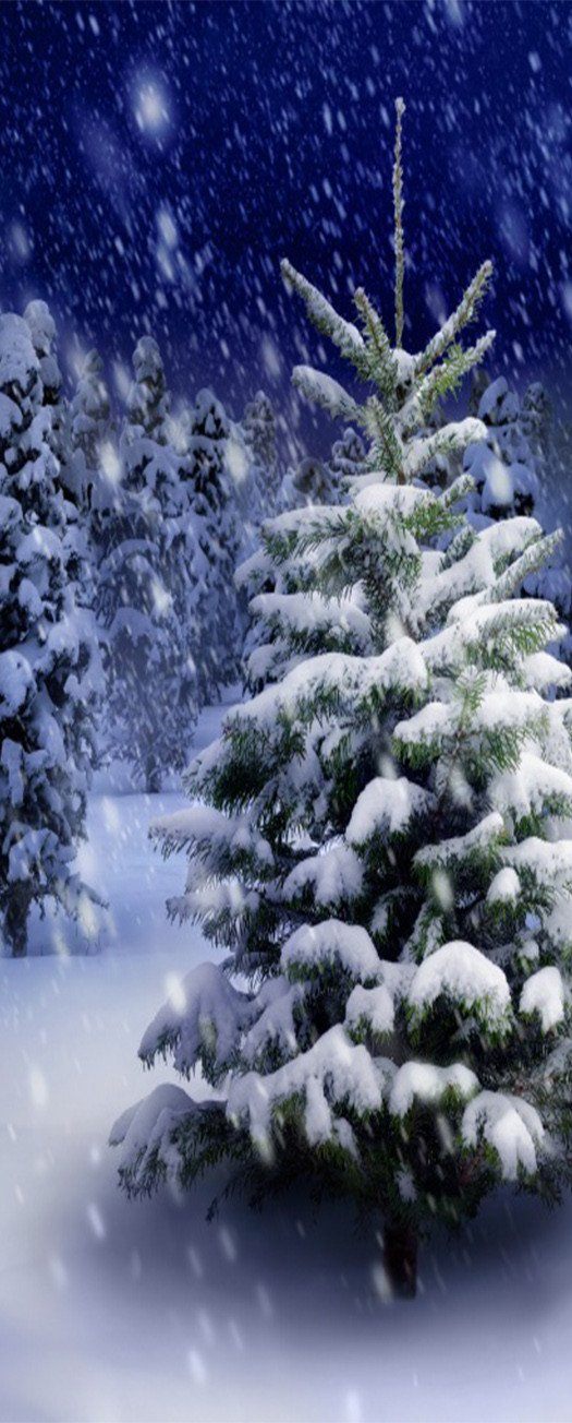 3D christmas tree snowflake white door mural Wallpaper AJ Wallpaper