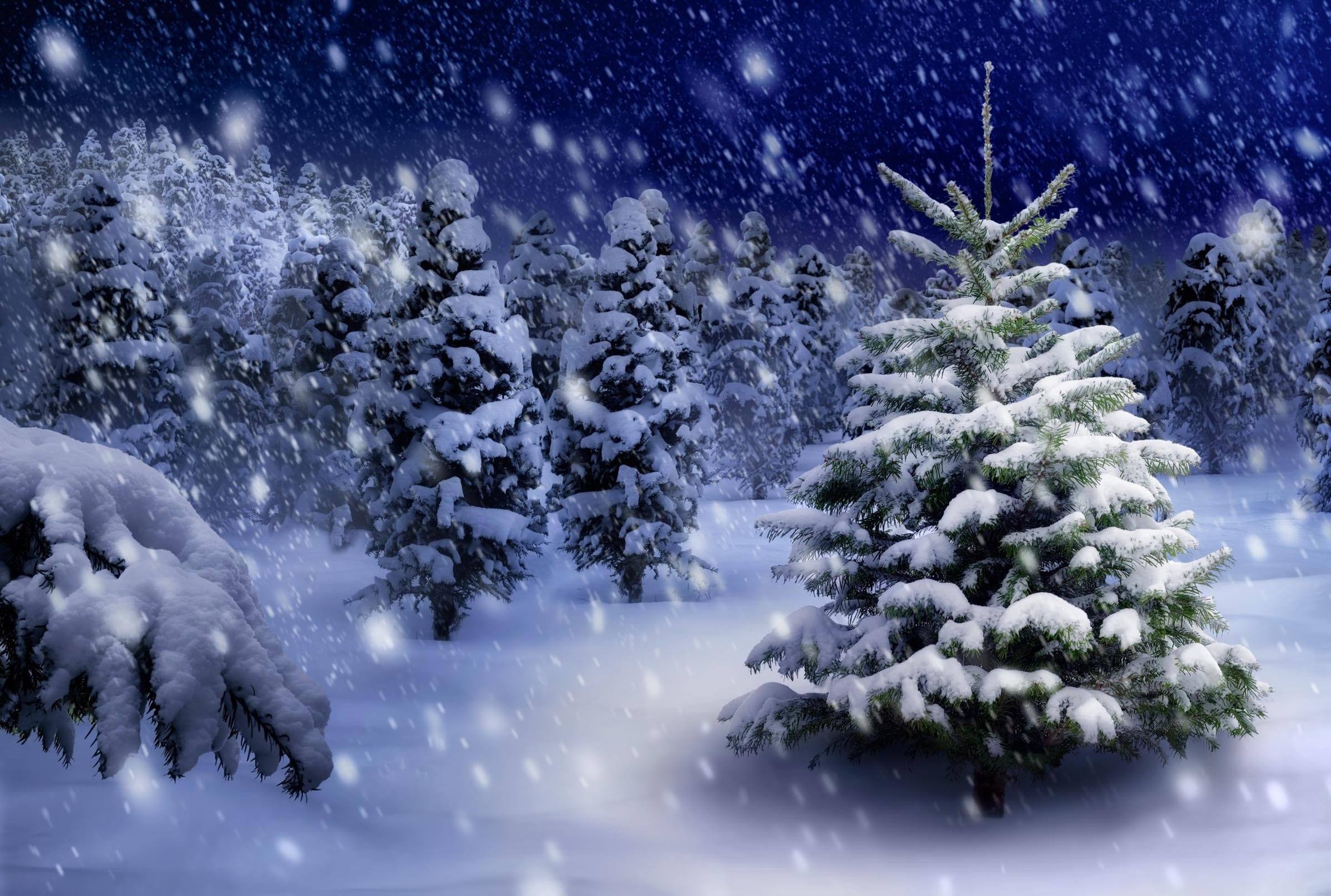 3D Snowing Forest 642 Kitchen Mat Floor Mural Wallpaper AJ Wallpaper