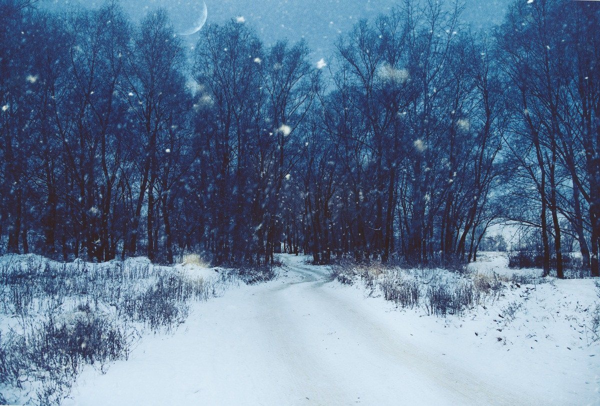 3D Snowing Forest Road 131 Garage Door Mural Wallpaper AJ Wallpaper