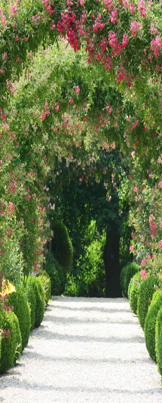 3D huge mountain plantation ghaut door mural Wallpaper AJ Wallpaper