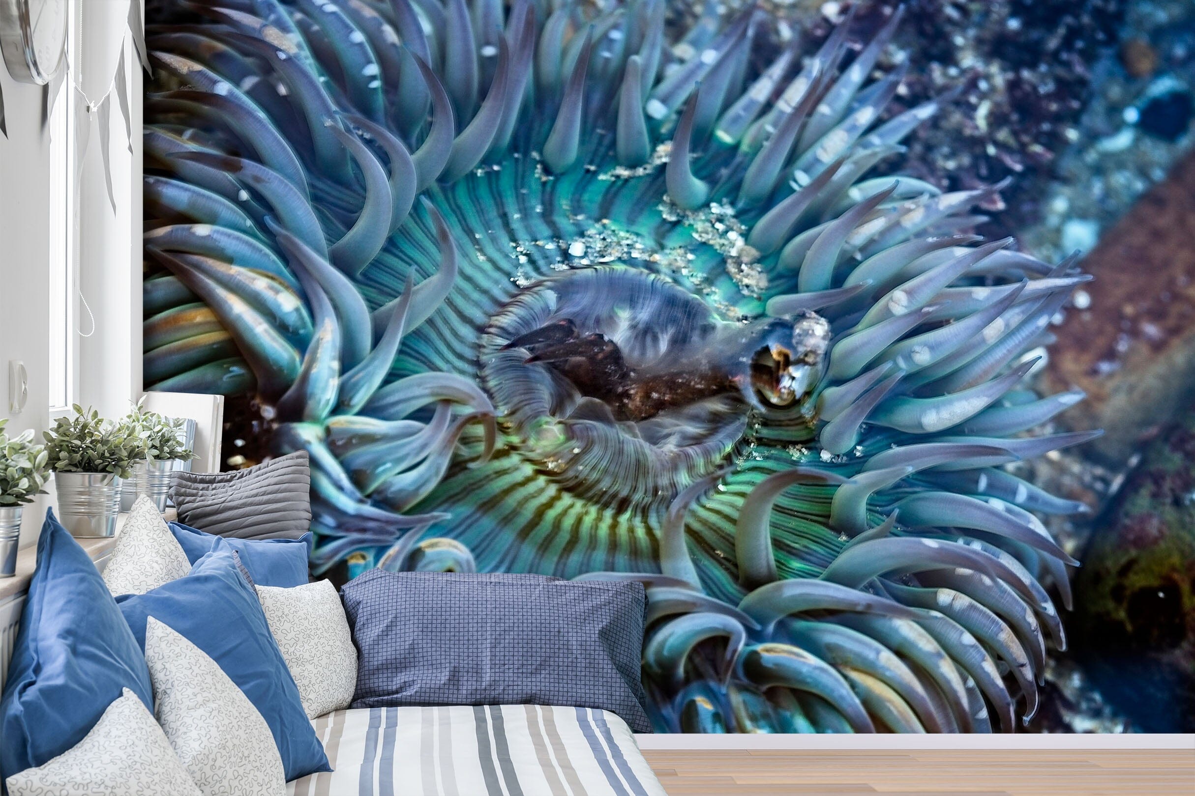 3D Tidepool Treasure 130 Kathy Barefield Wall Mural Wall Murals Wallpaper AJ Wallpaper 2