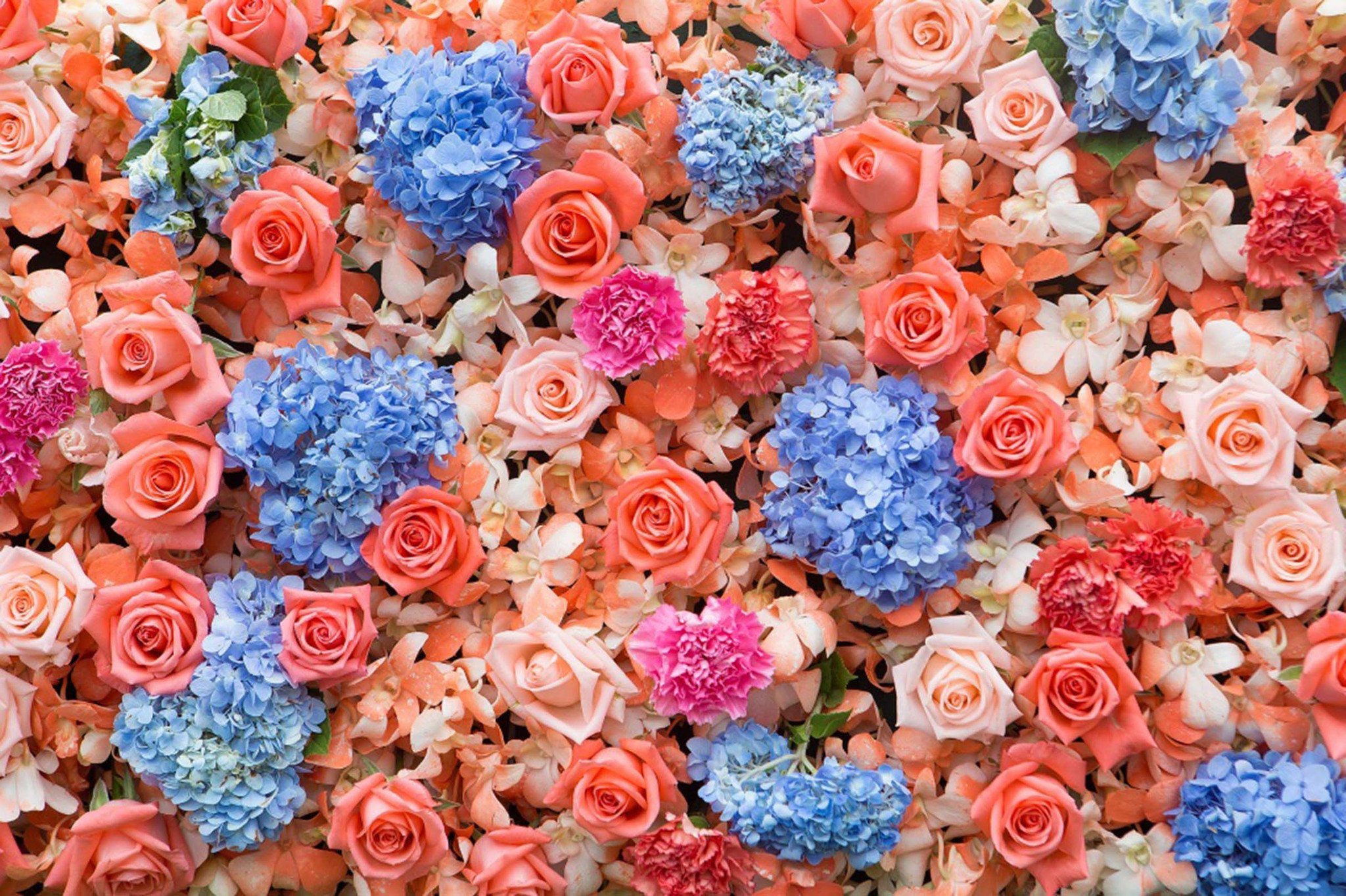 Various Dense Flowers Wallpaper AJ Wallpaper