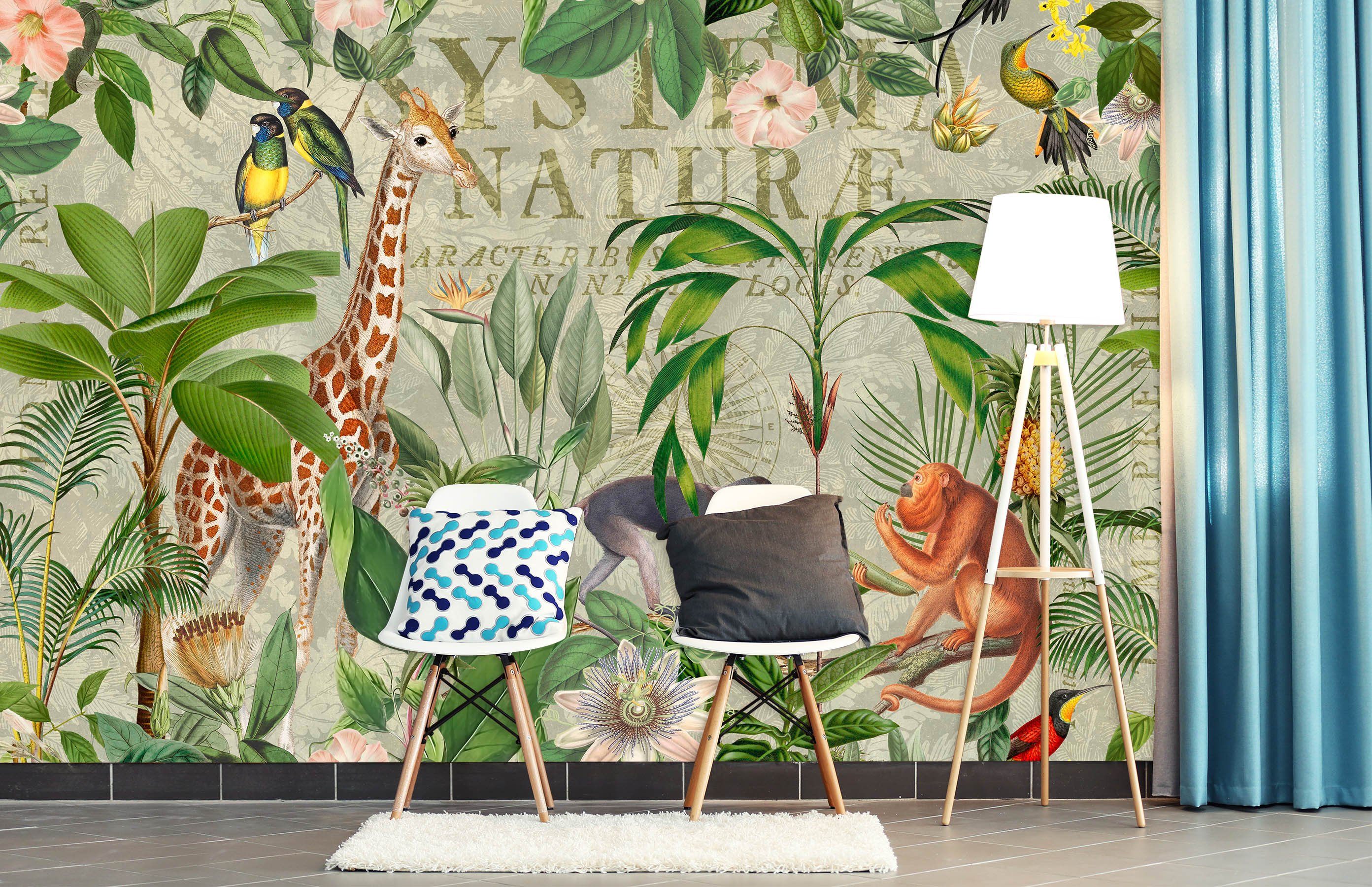 3D Animal Forest 1432 Andrea haase Wall Mural Wall Murals Wallpaper AJ Wallpaper 2