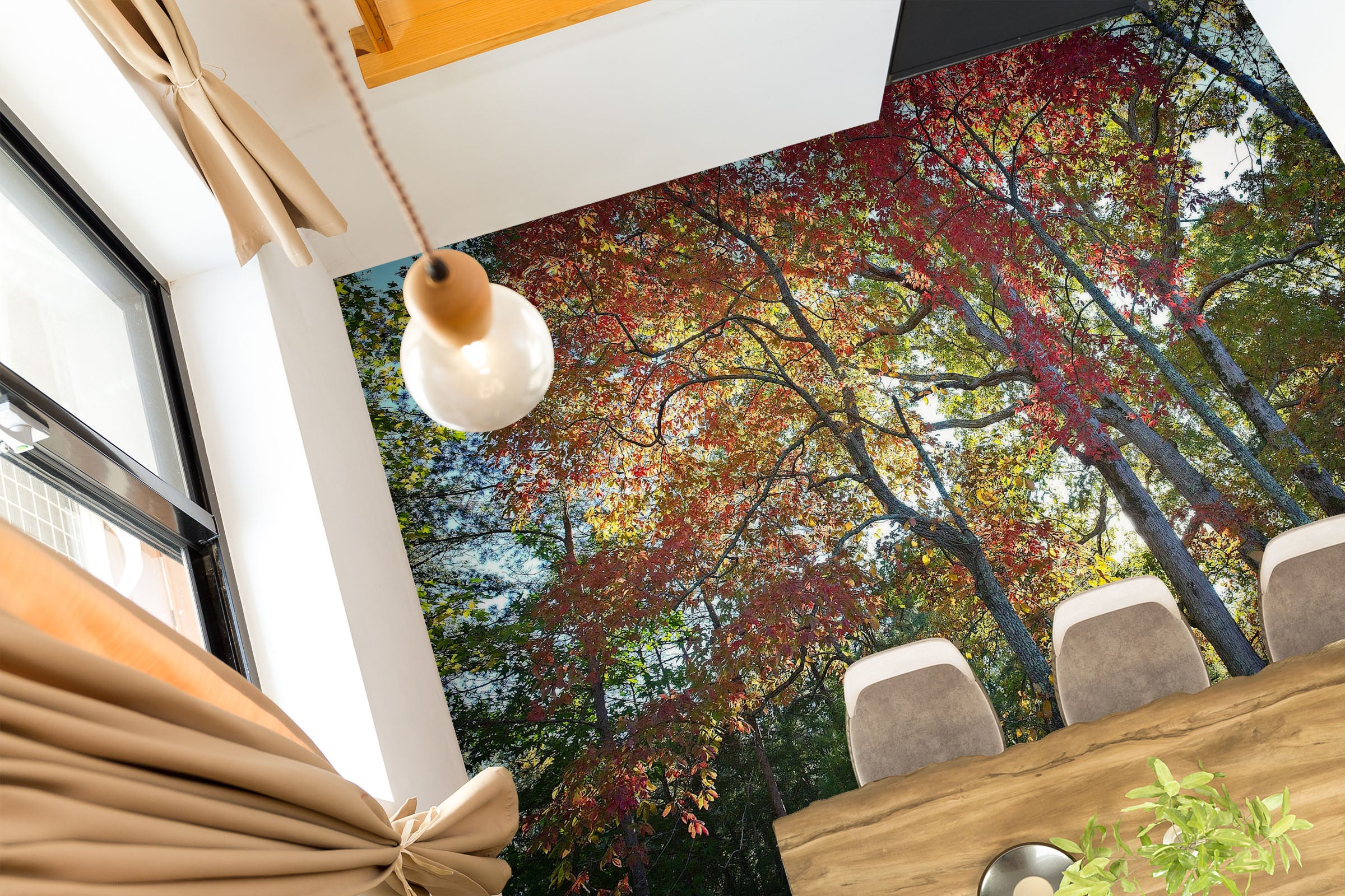 3D Forest 98189 Kathy Barefield Floor Mural