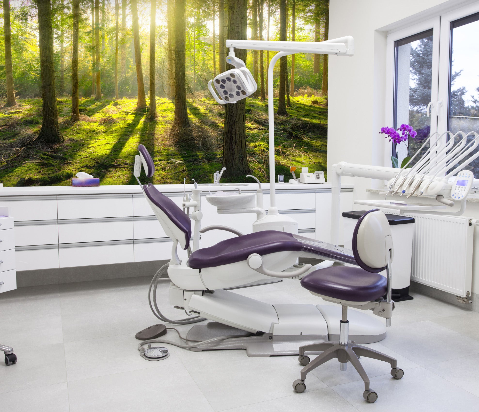 3D Woods Shadow Sunlight 319 Wall Murals