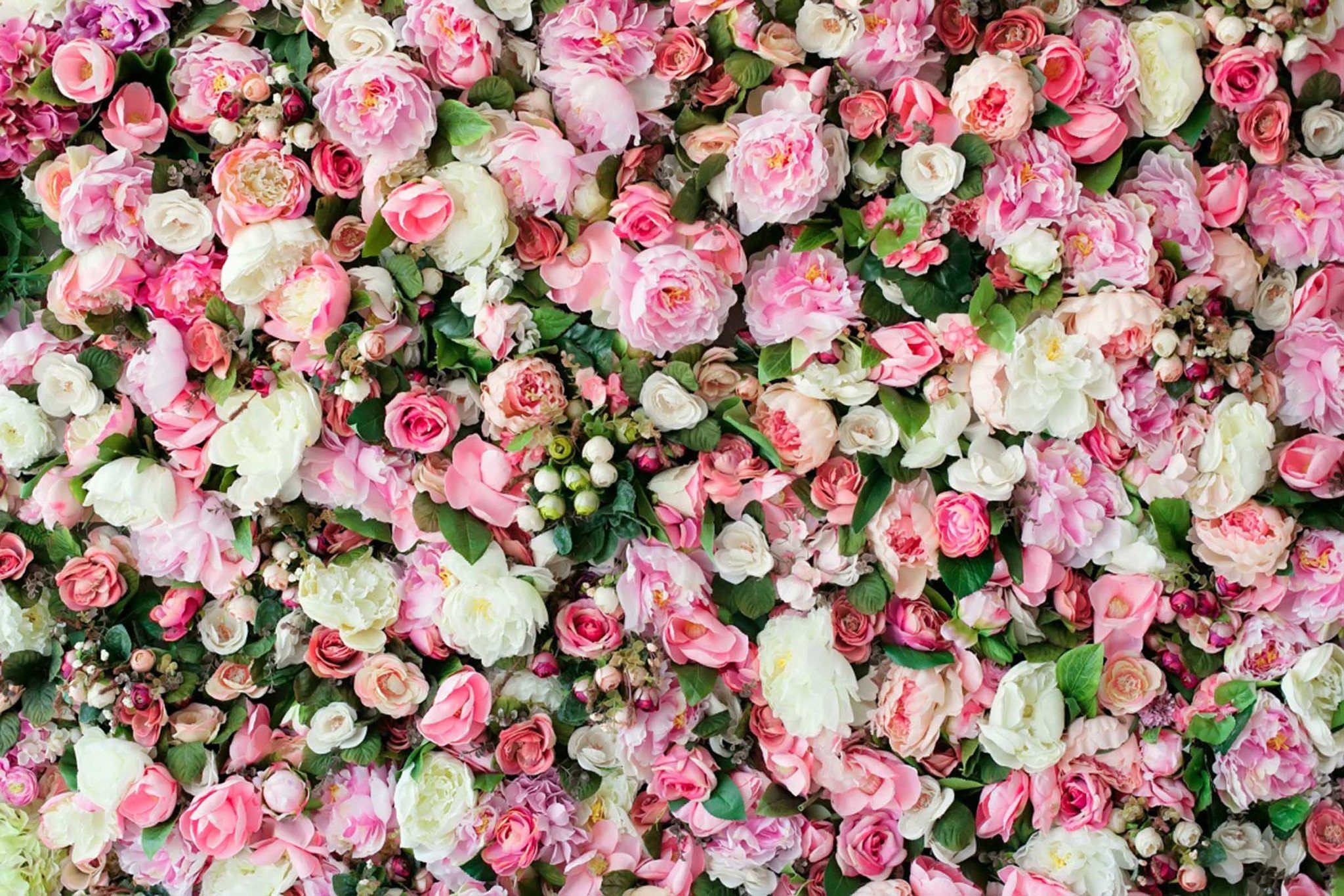 Dense Pink Flowers Wallpaper AJ Wallpaper