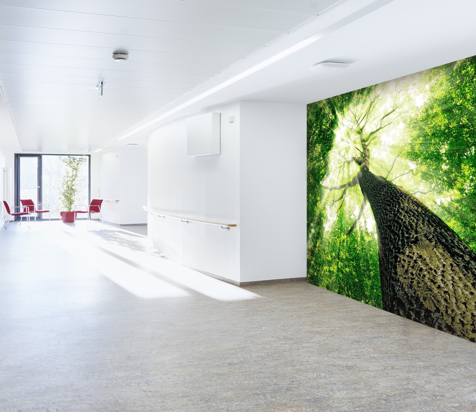 3D Landscape Tree 50 Wall Murals Wallpaper AJ Wallpaper 2