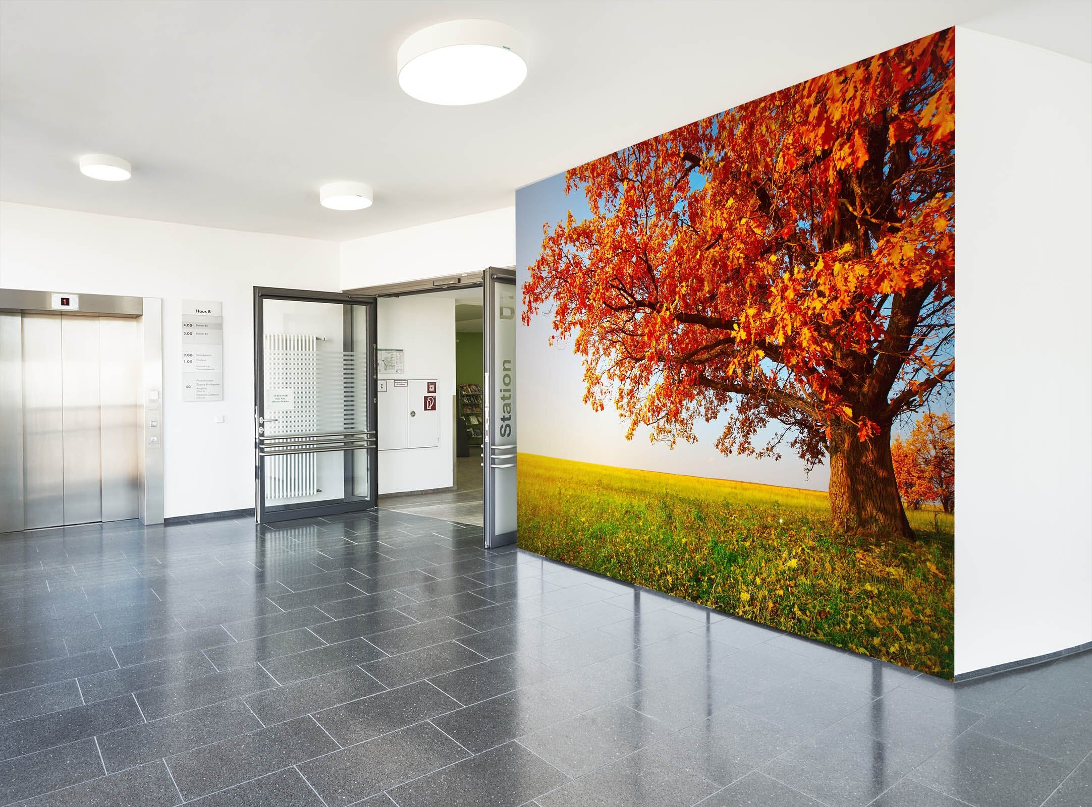 3D Autumn Landscape 185 Wall Murals Wallpaper AJ Wallpaper 2