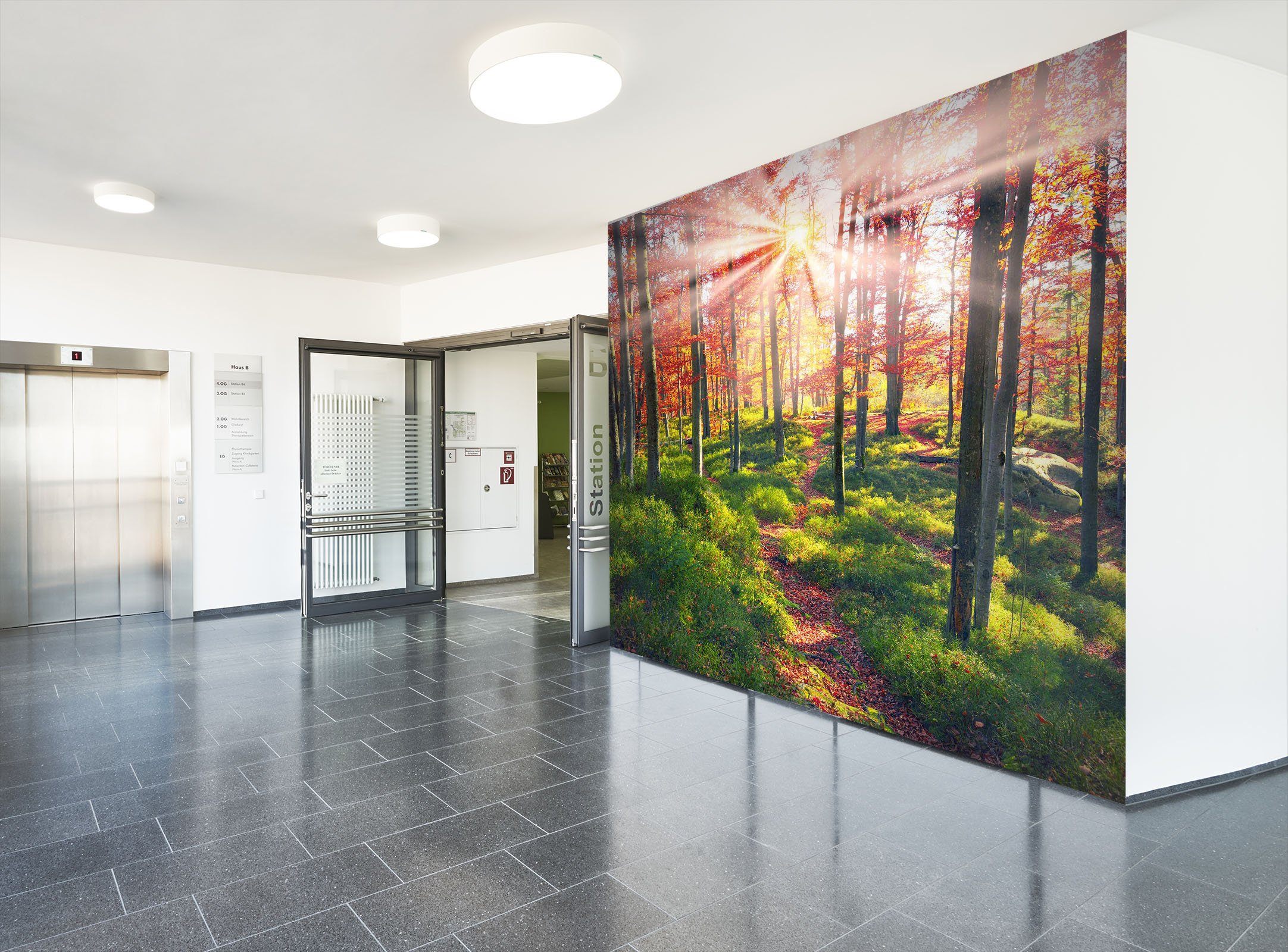 3D Beeches The Rocks 18 Wall Murals Wallpaper AJ Wallpaper 2