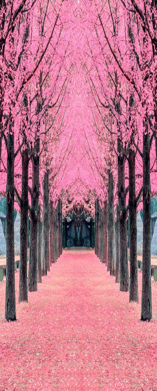 3D flowers road trees door mural Wallpaper AJ Wallpaper