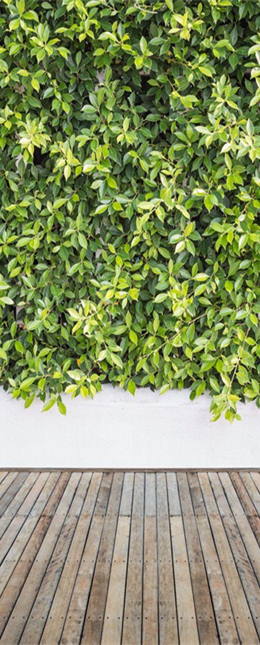 3D branches parterre wood flooring door mural Wallpaper AJ Wallpaper