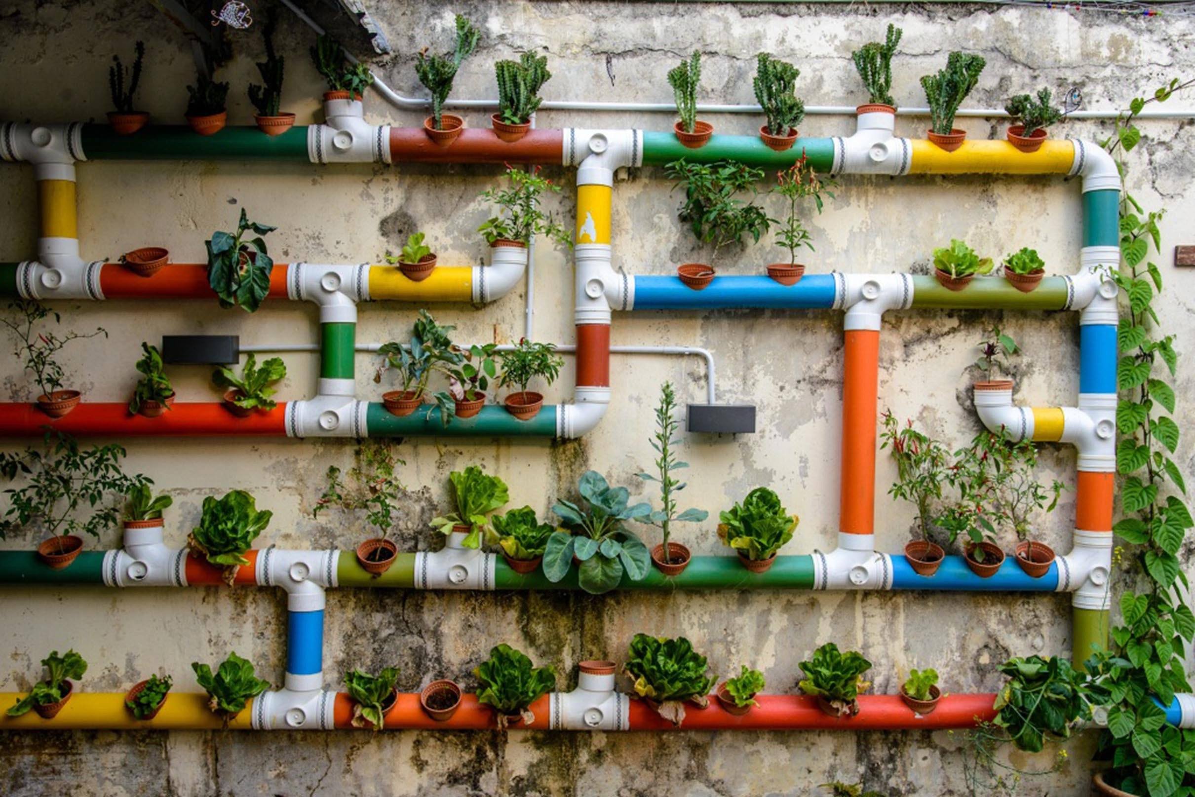 3D Waterpipe Potted Plants 403 Garage Door Mural Wallpaper AJ Wallpaper