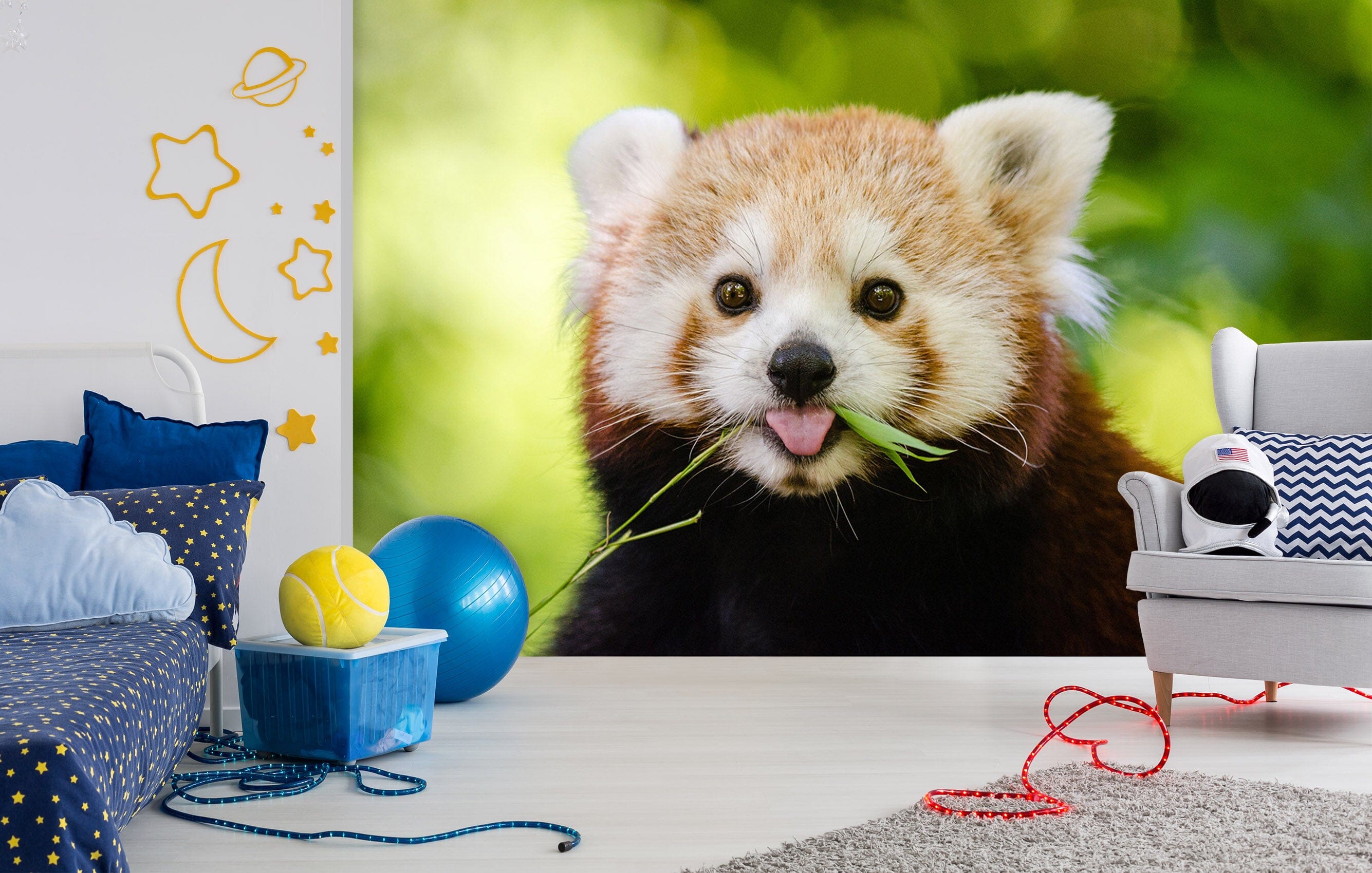 3D Cute Red Panda 216 Wall Murals Wallpaper AJ Wallpaper 2
