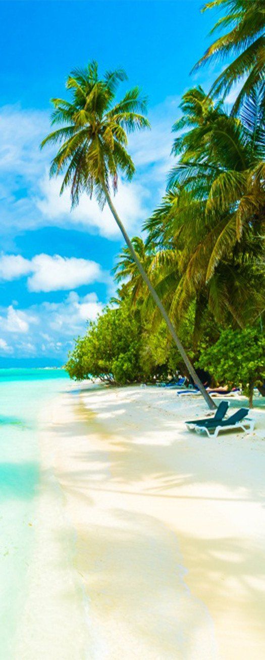 3D beach palm tree white clouds door mural Wallpaper AJ Wallpaper