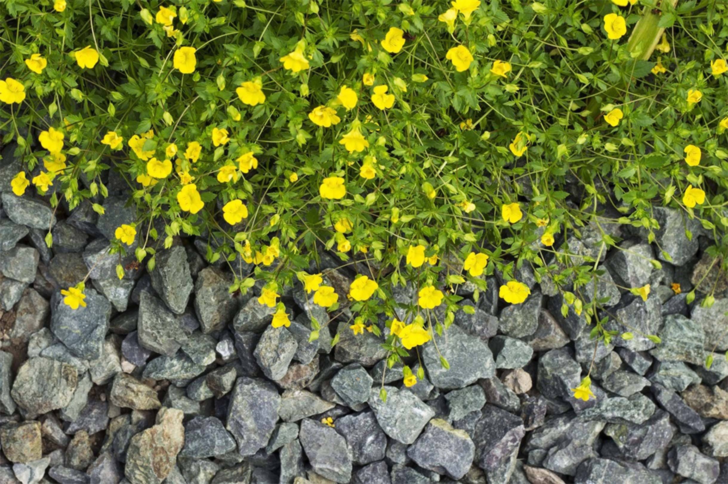 3D Flowers Stones 400 Garage Door Mural Wallpaper AJ Wallpaper