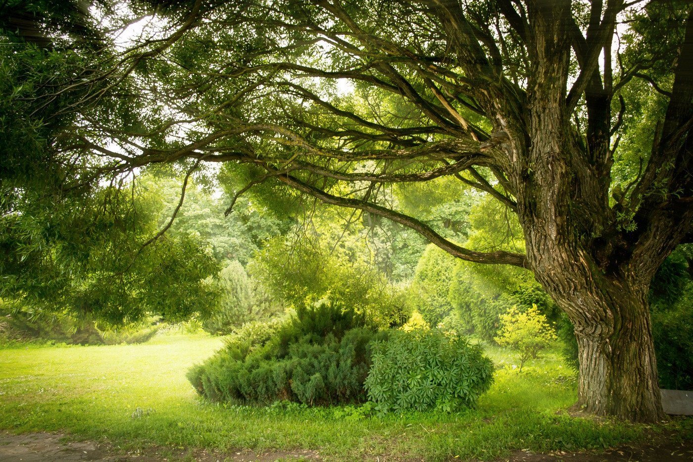 3D Grassland Trees 273 Garage Door Mural Wallpaper AJ Wallpaper