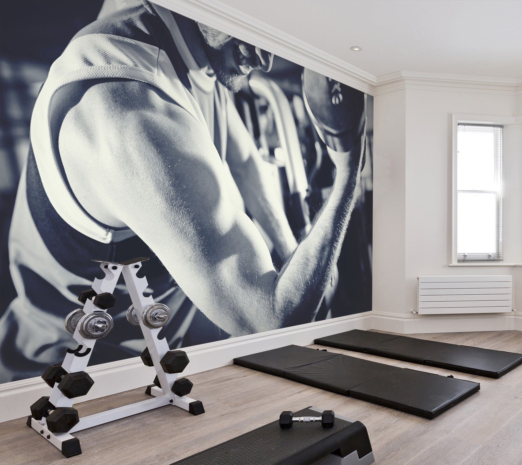 3D Arm Muscles 238 Wall Murals Wallpaper AJ Wallpaper 2
