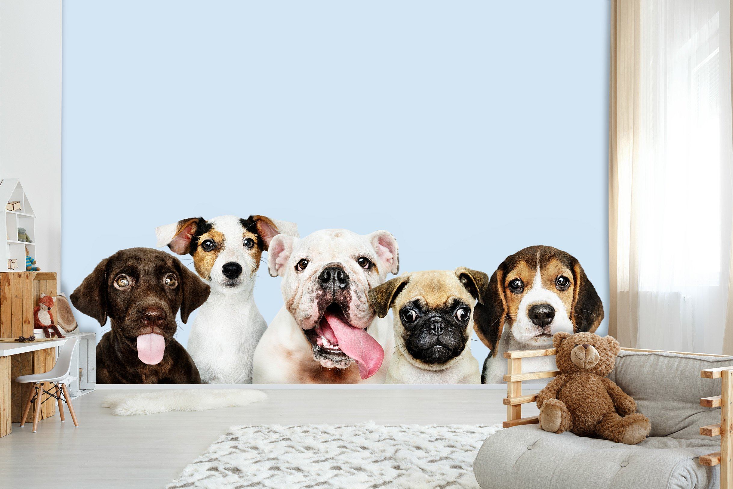 3D Five Puppies 573 Wallpaper AJ Wallpaper