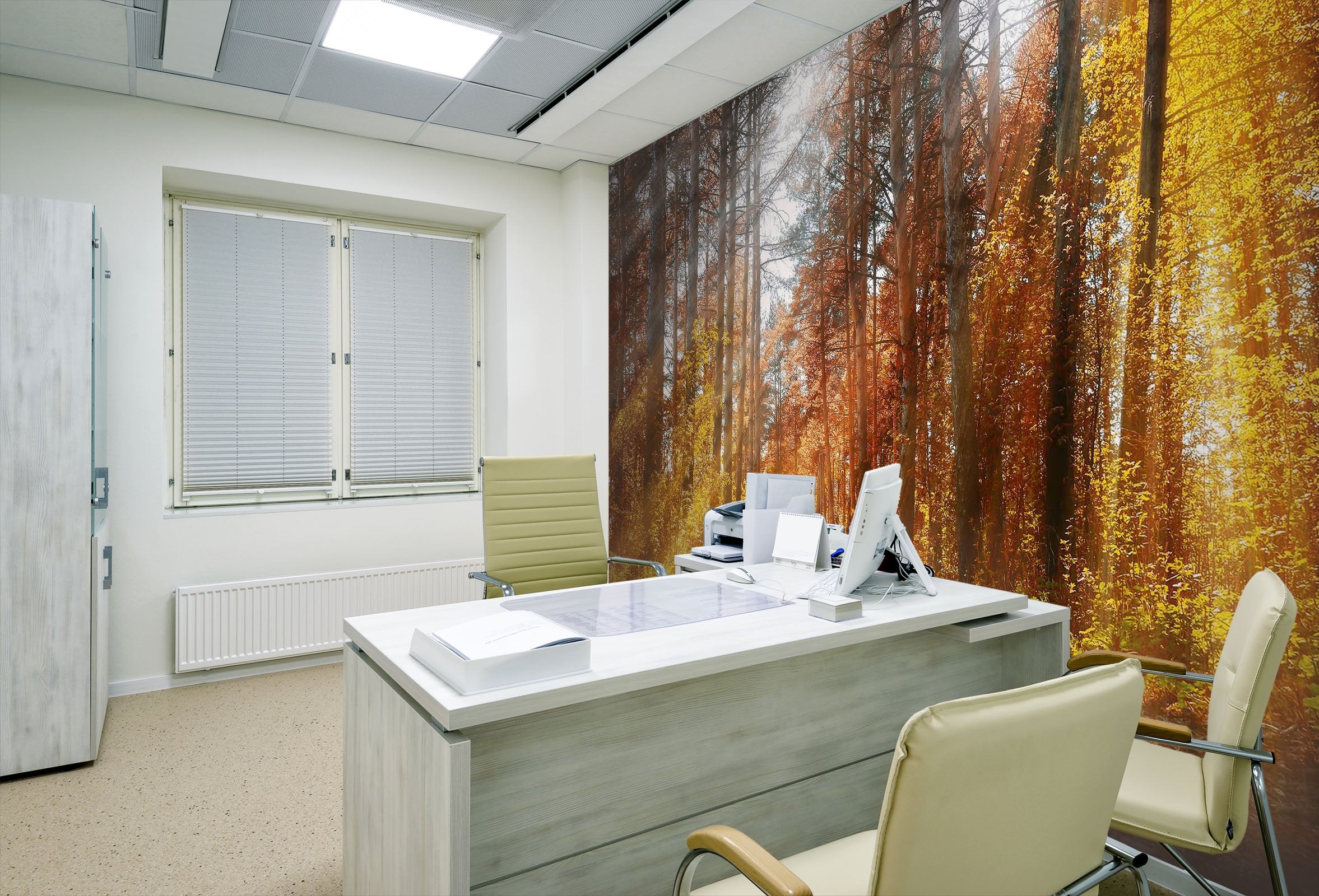 3D Tree in fall 08 Wall Murals Wallpaper AJ Wallpaper