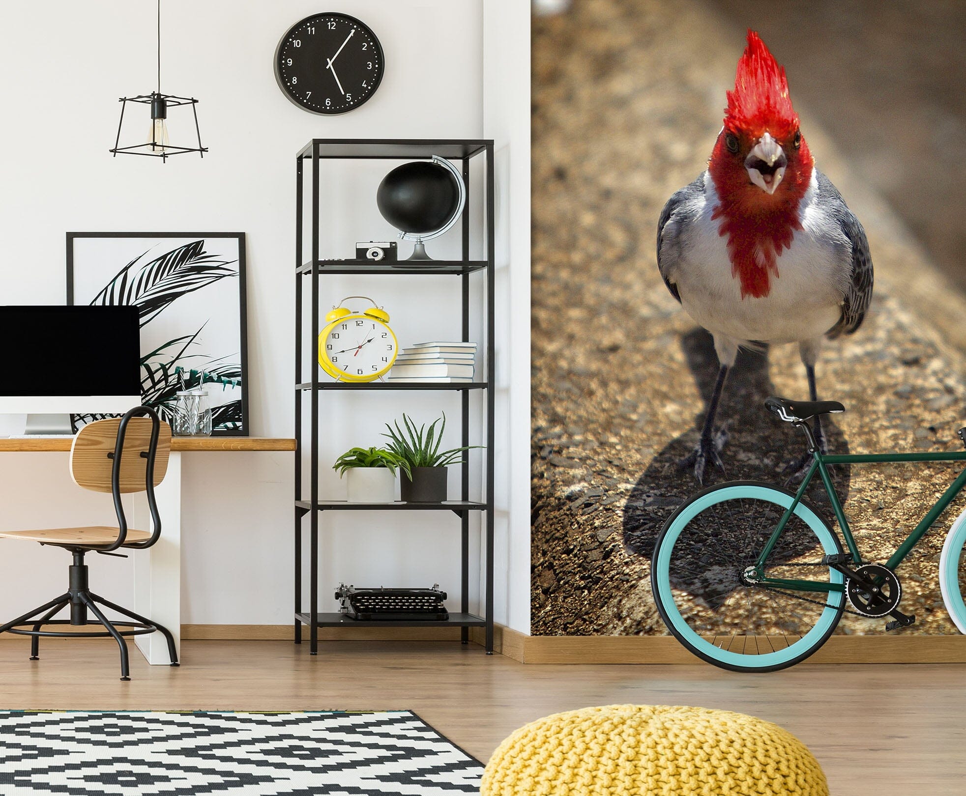 3D Red Bird 1403 Kathy Barefield Wall Mural Wall Murals Wallpaper AJ Wallpaper 2