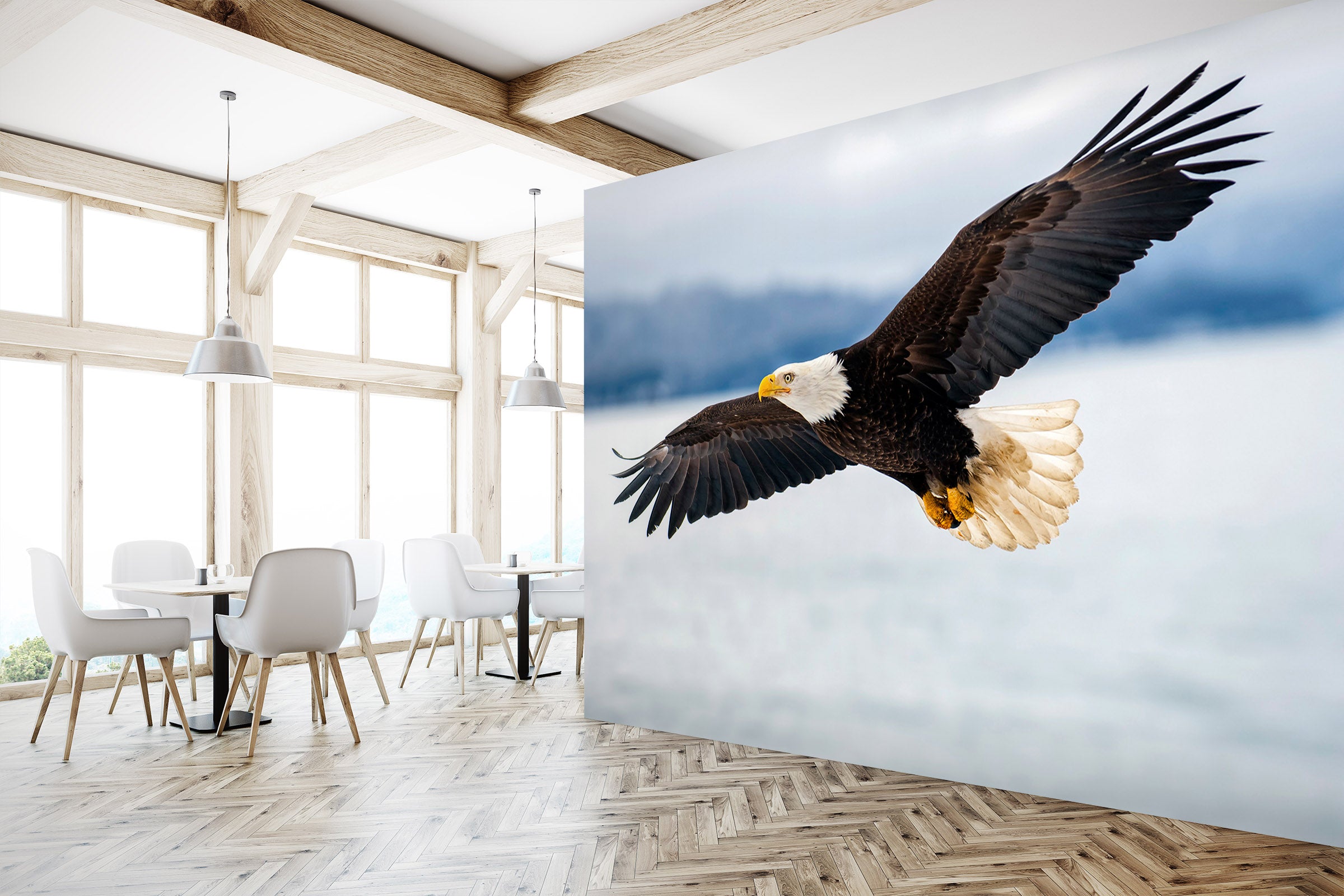 3D Eagle Wings 228 Wall Murals