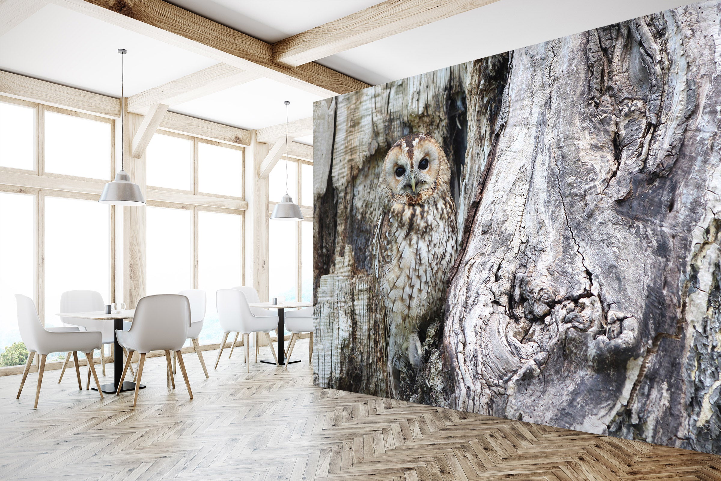 3D Black Owl 255 Wall Murals