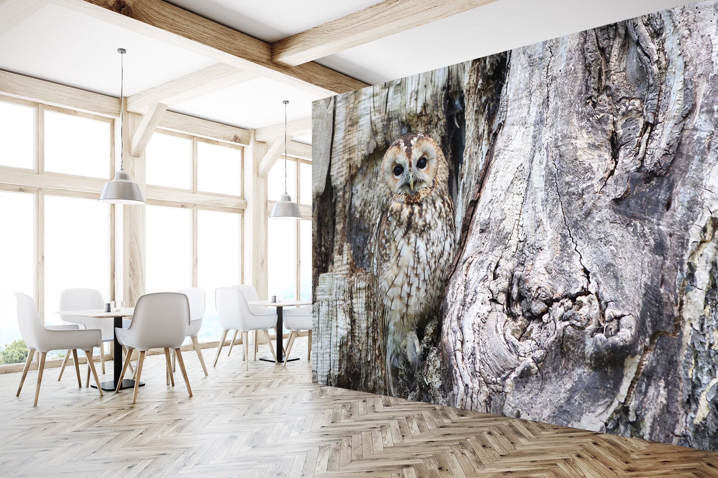 3D Black Owl 255 Wall Murals Wallpaper AJ Wallpaper 2