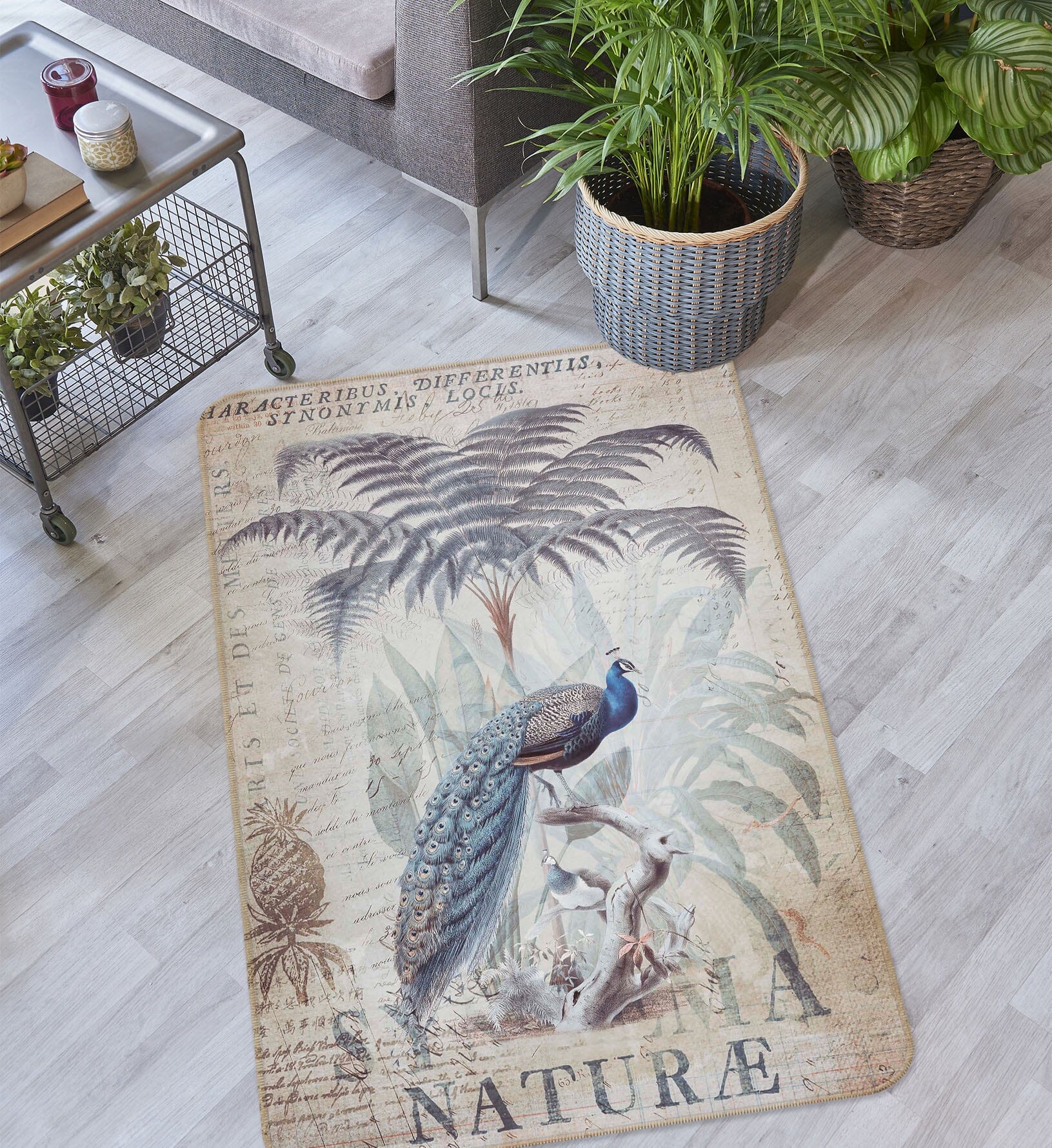 3D Cute Peacock 1029 Andrea haase Rug Non Slip Rug Mat Mat AJ Creativity Home