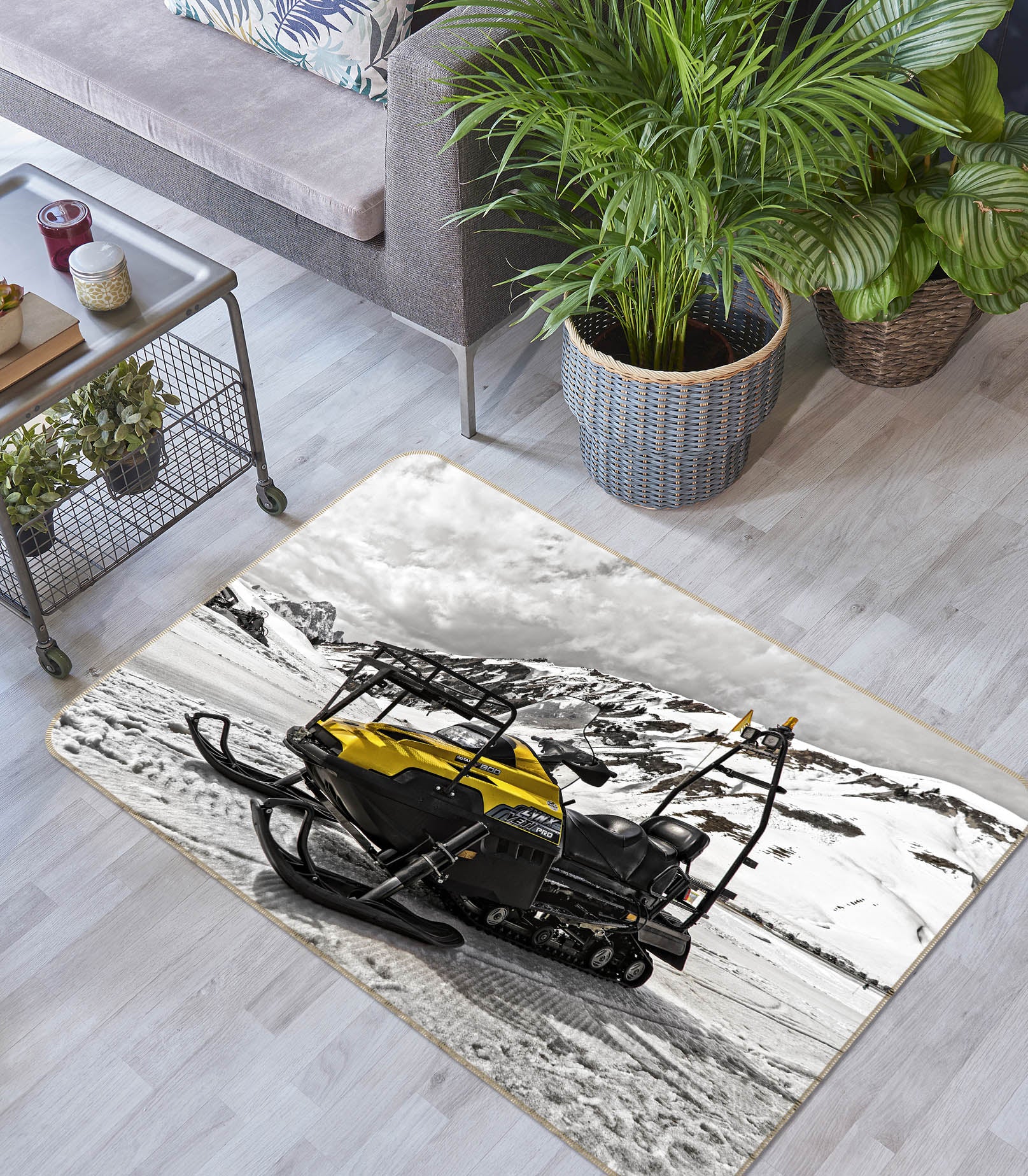 3D Ski Car 68068 Vehicle Non Slip Rug Mat