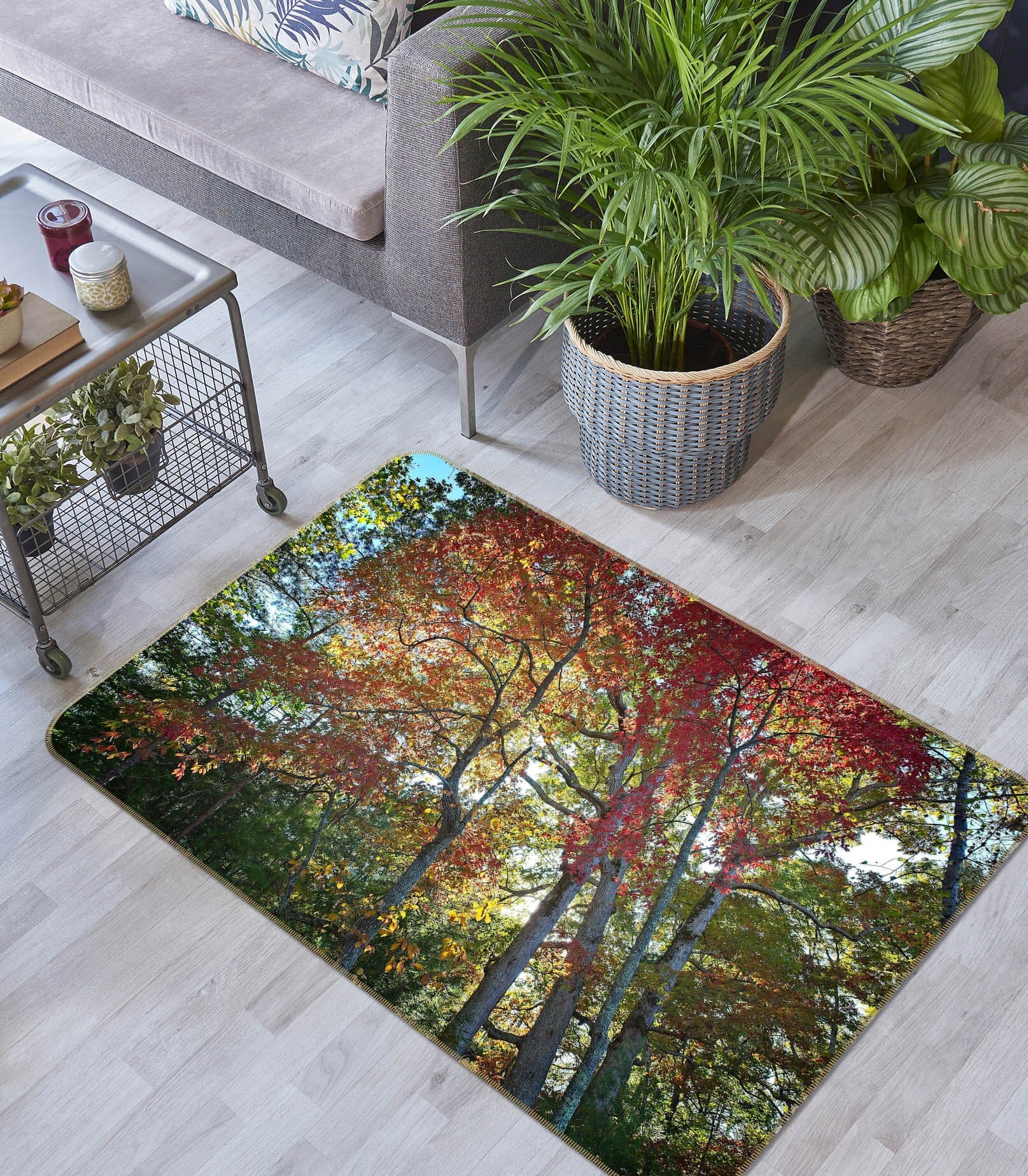 3D Forest Sunlight 1119 Kathy Barefield Rug Non Slip Rug Mat Mat AJ Creativity Home