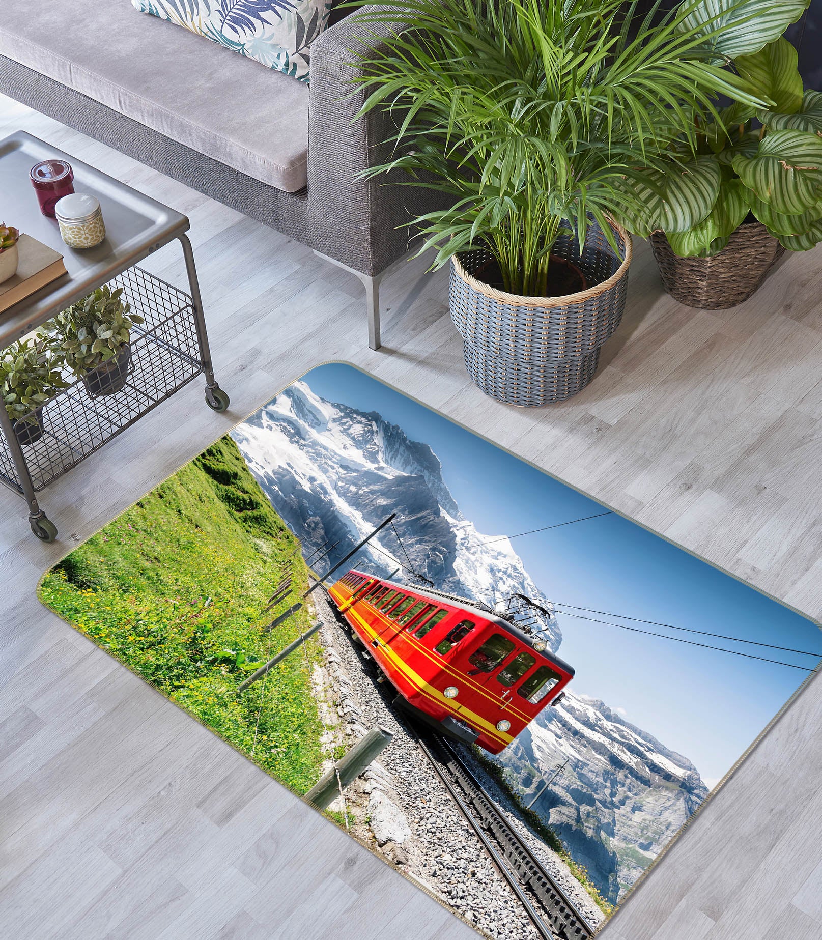 3D Snow Mountain Grassland Red Train 68110 Vehicle Non Slip Rug Mat