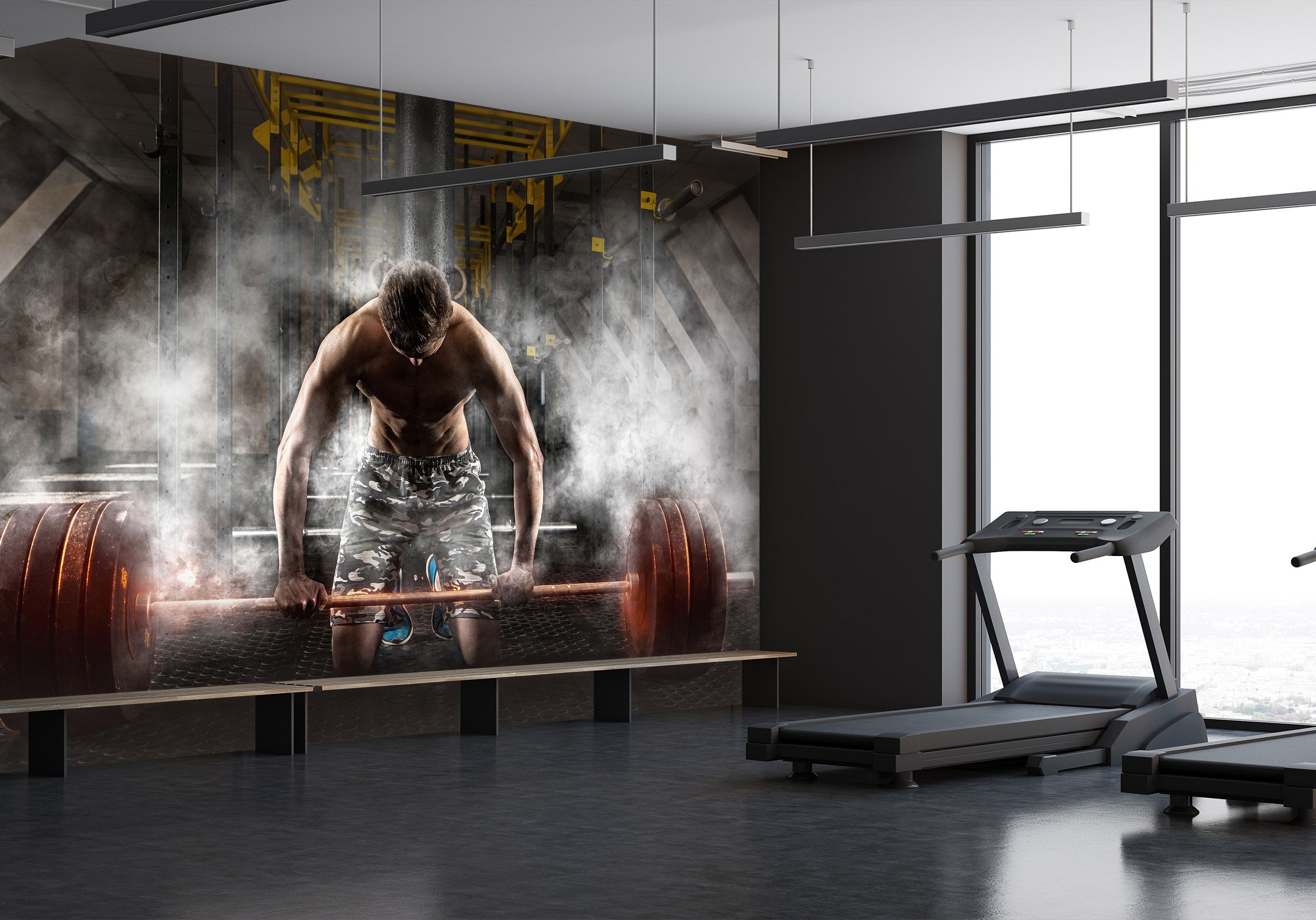 3D Overweight Barbell 110 Wall Murals Wallpaper AJ Wallpaper 2